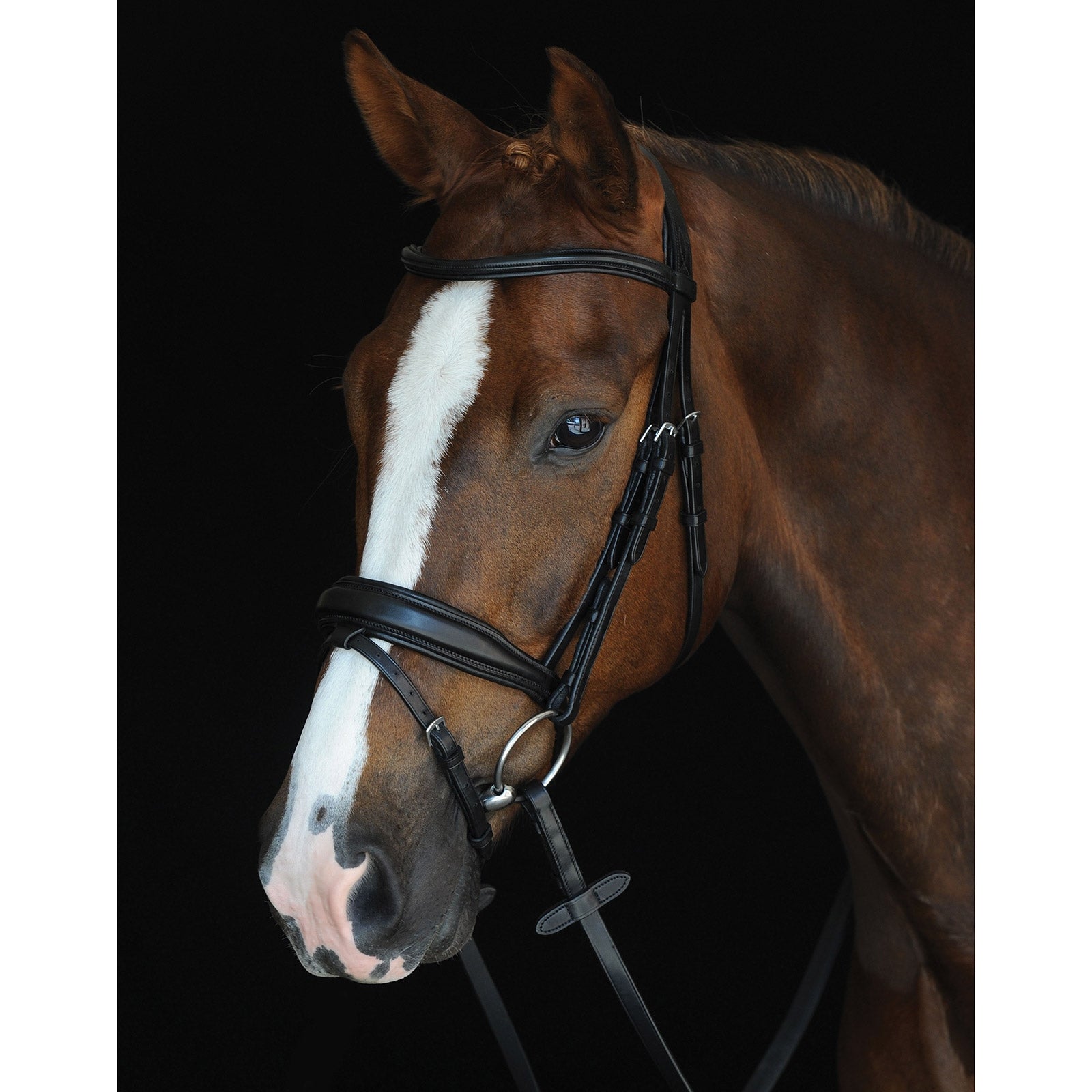 Collegiate Mono Crown Padded Raised Flash trense. Trenser & tøjler