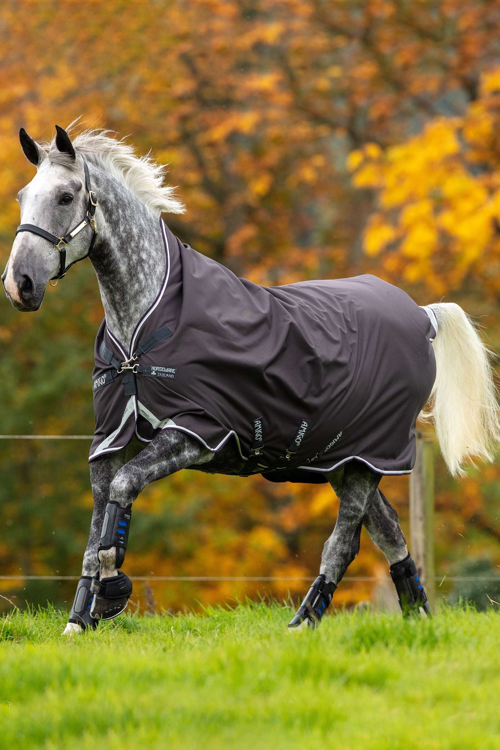 Horseware Amigo Bravo 12 Wug udedækken med høj hals, 0 g Hestedækken