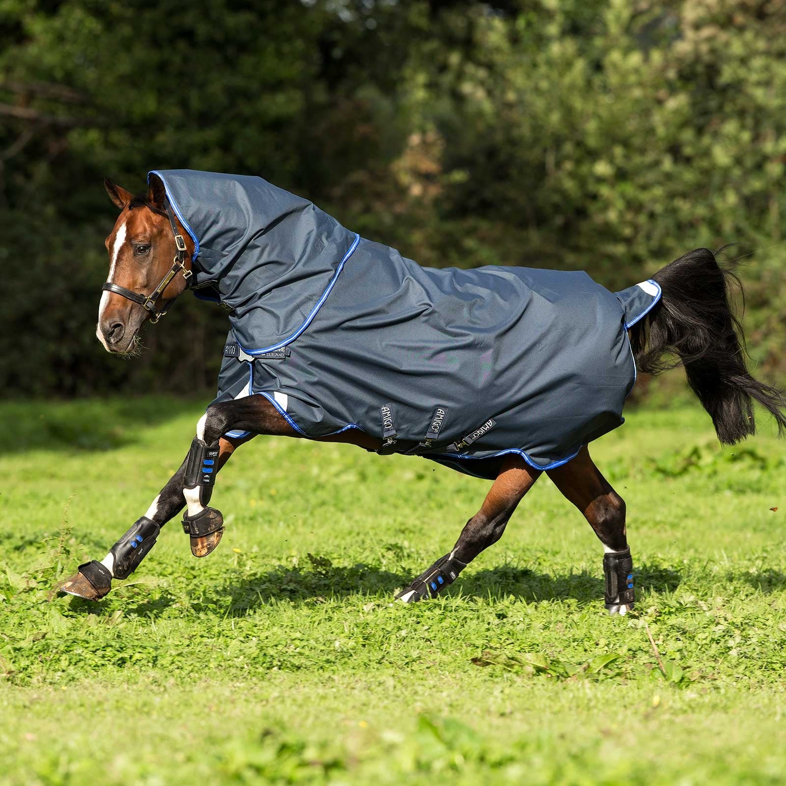 Horseware Amigo Bravo 12 Plus Let udedækken, pladespænde, 0g Hestedækken