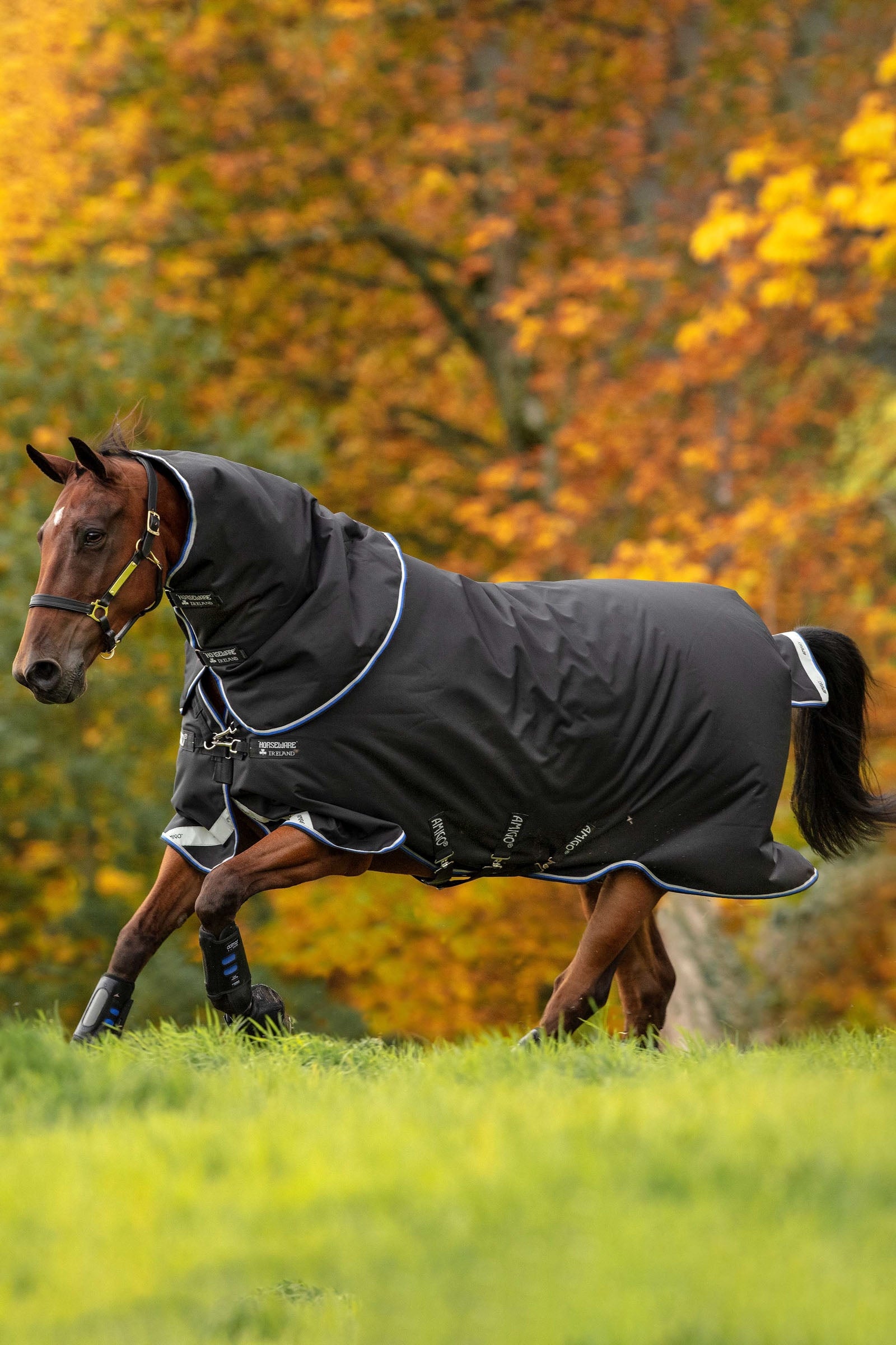Horseware Amigo Bravo 12 Plus udedækken, 250 g Hestedækken