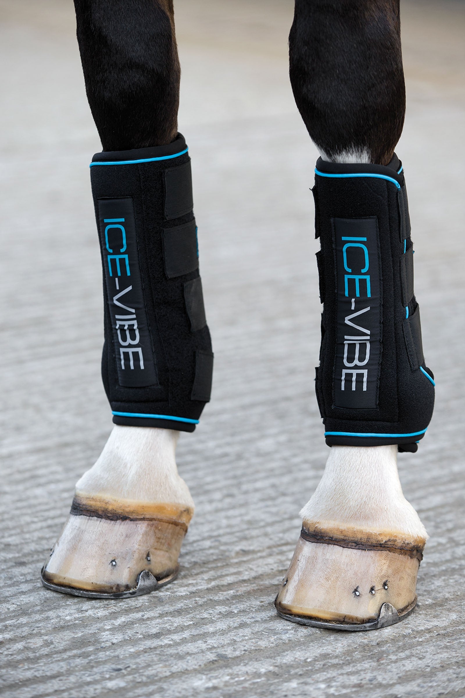 Horseware Ice-Vibe gamacher Leg Protection & Hoof Protection for Horses