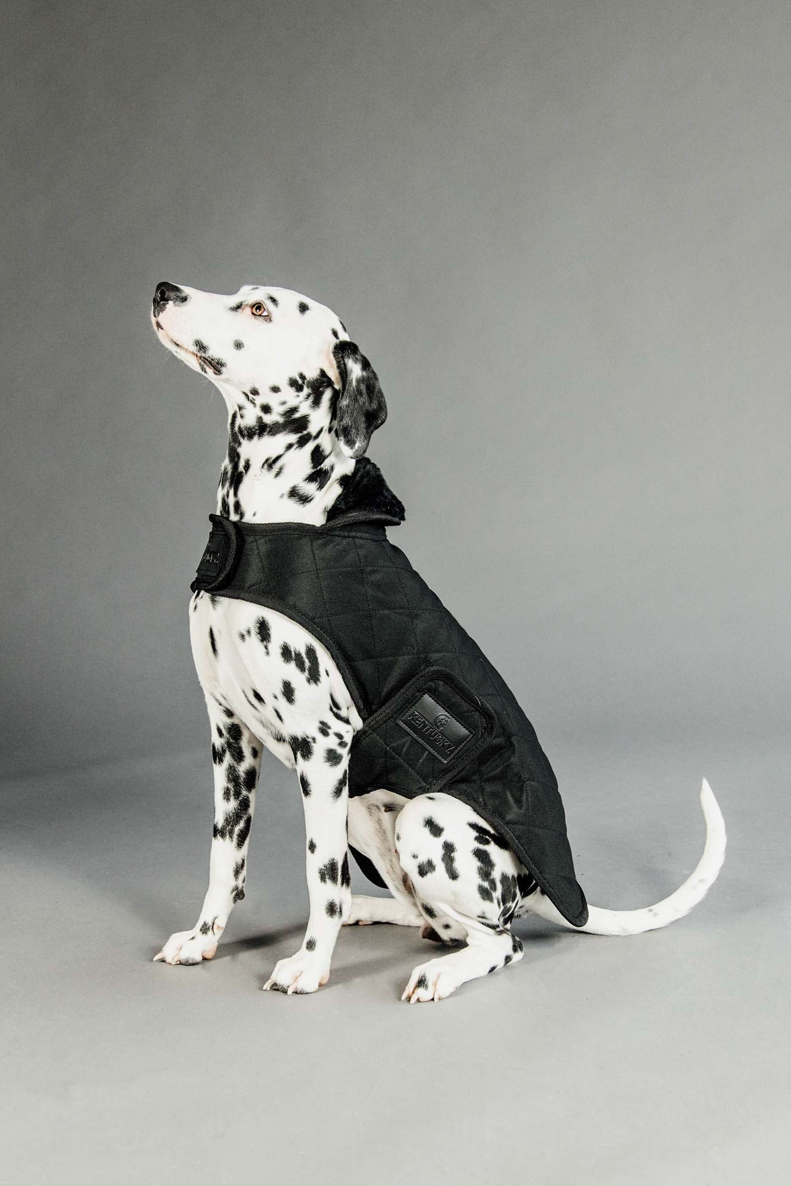 Kentucky Dogwear hundefrakke Hund