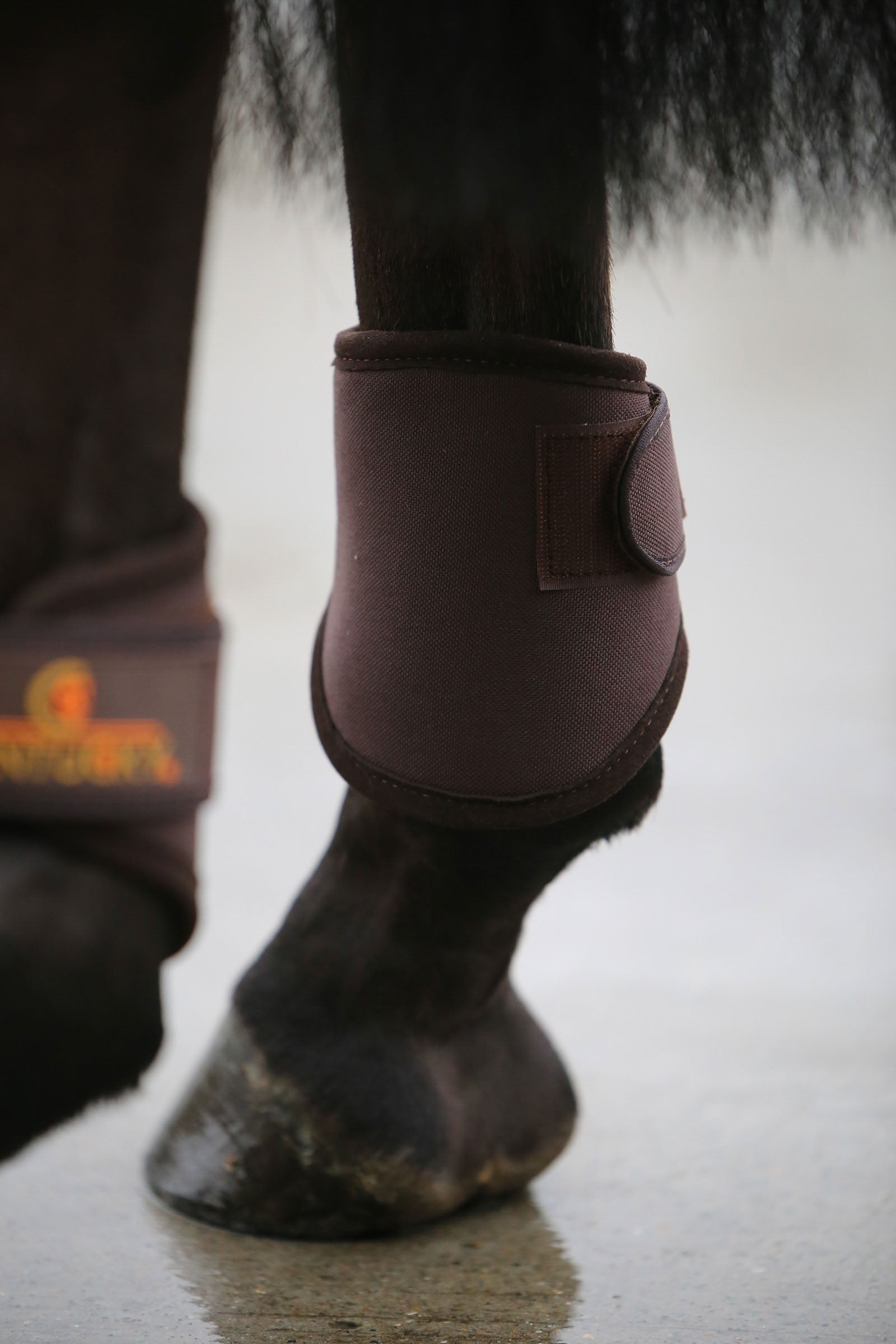 Kentucky Horsewear Kentucky 3D Spacer Hind Leg Protection & Hoof Protection for Horses