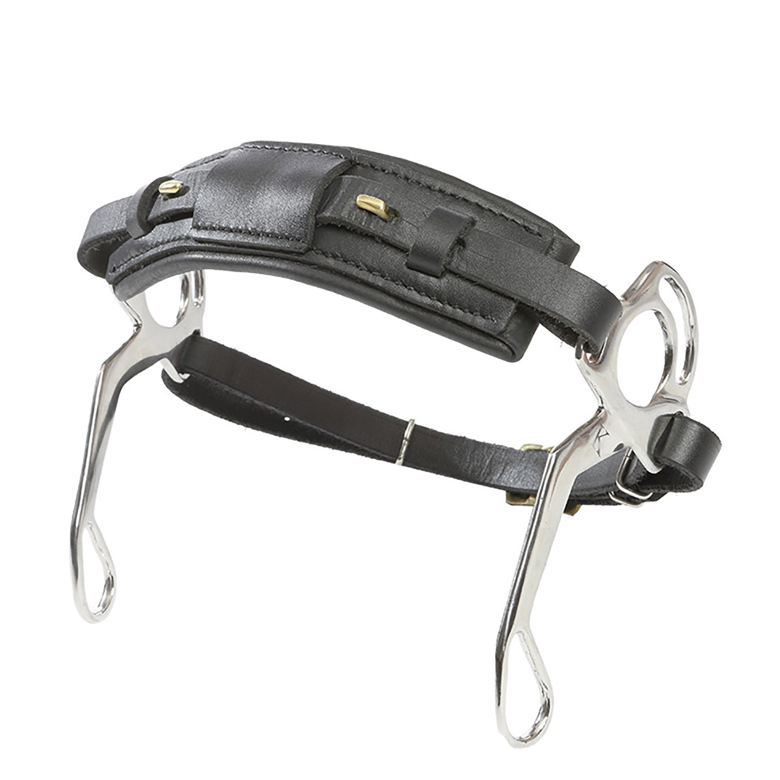Kavalkade KavalBits Hackamore Bid