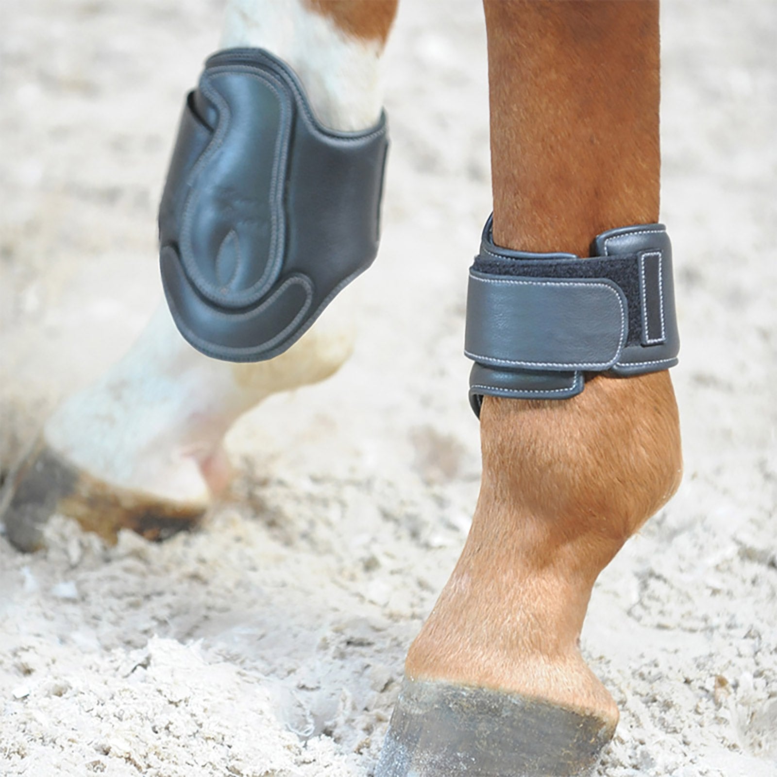 Kavalkade Soft Dekor Lædergamacher Leg Protection & Hoof Protection for Horses