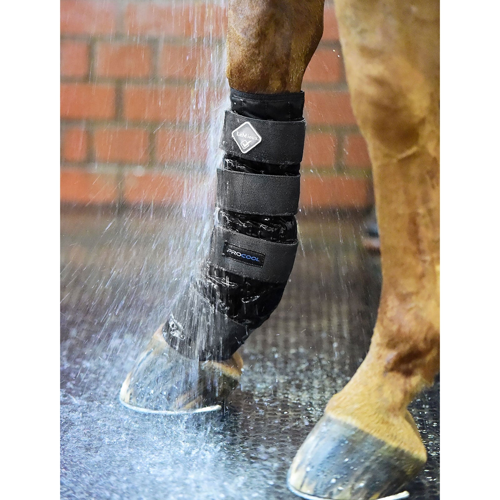 LeMieux Cold Water gamacher Leg Protection & Hoof Protection for Horses