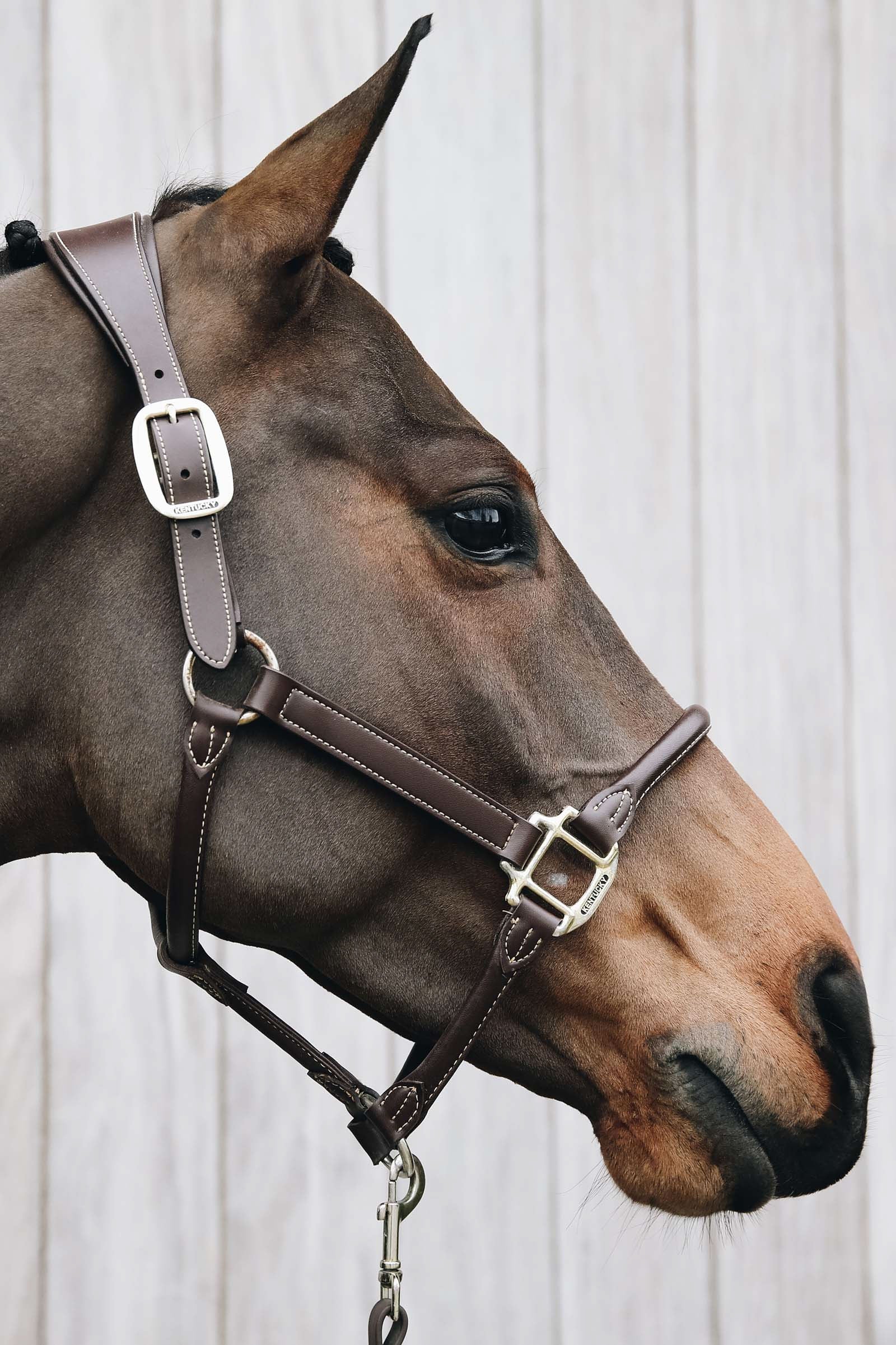 Kentucky Horsewear Anatomic Leather Halter Halters & Leads