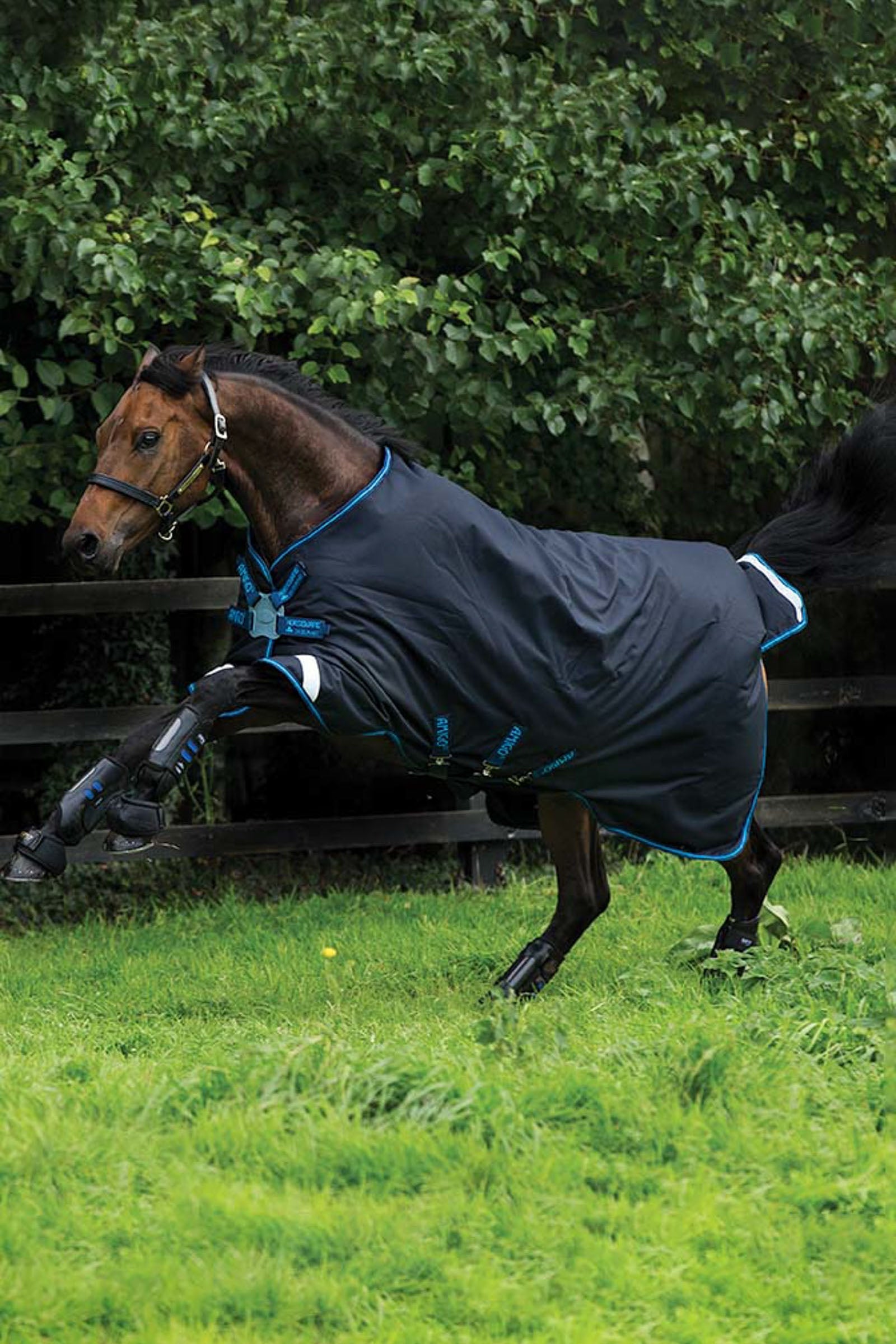 Horseware Amigo Bravo dækken 12 100 gr., T/O Disc Frnt Hestedækken