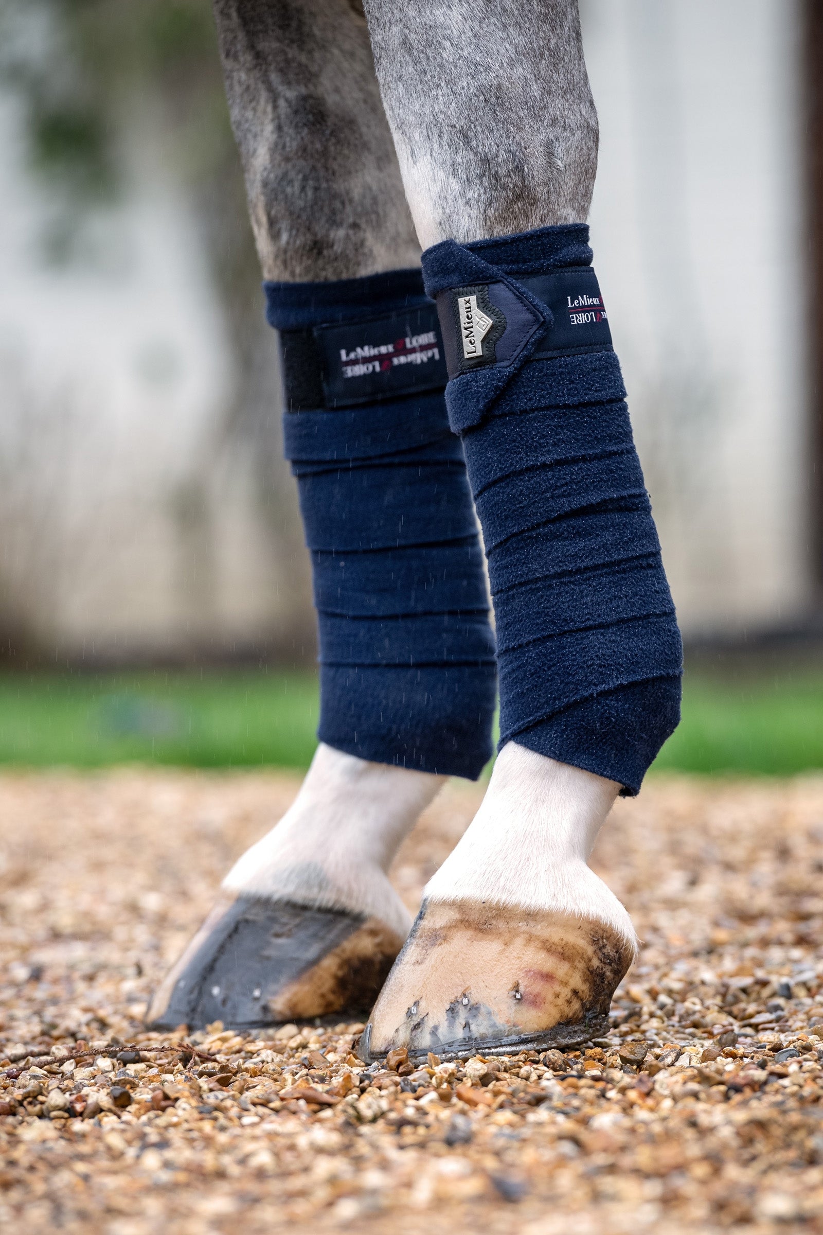 LeMieux Loire Polobandager Leg Protection & Hoof Protection for Horses