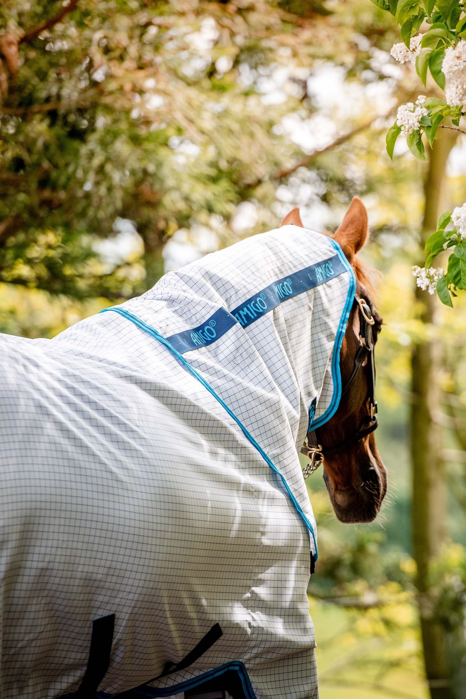 Horseware Amigo Summer Sheet Plus Horse Rugs