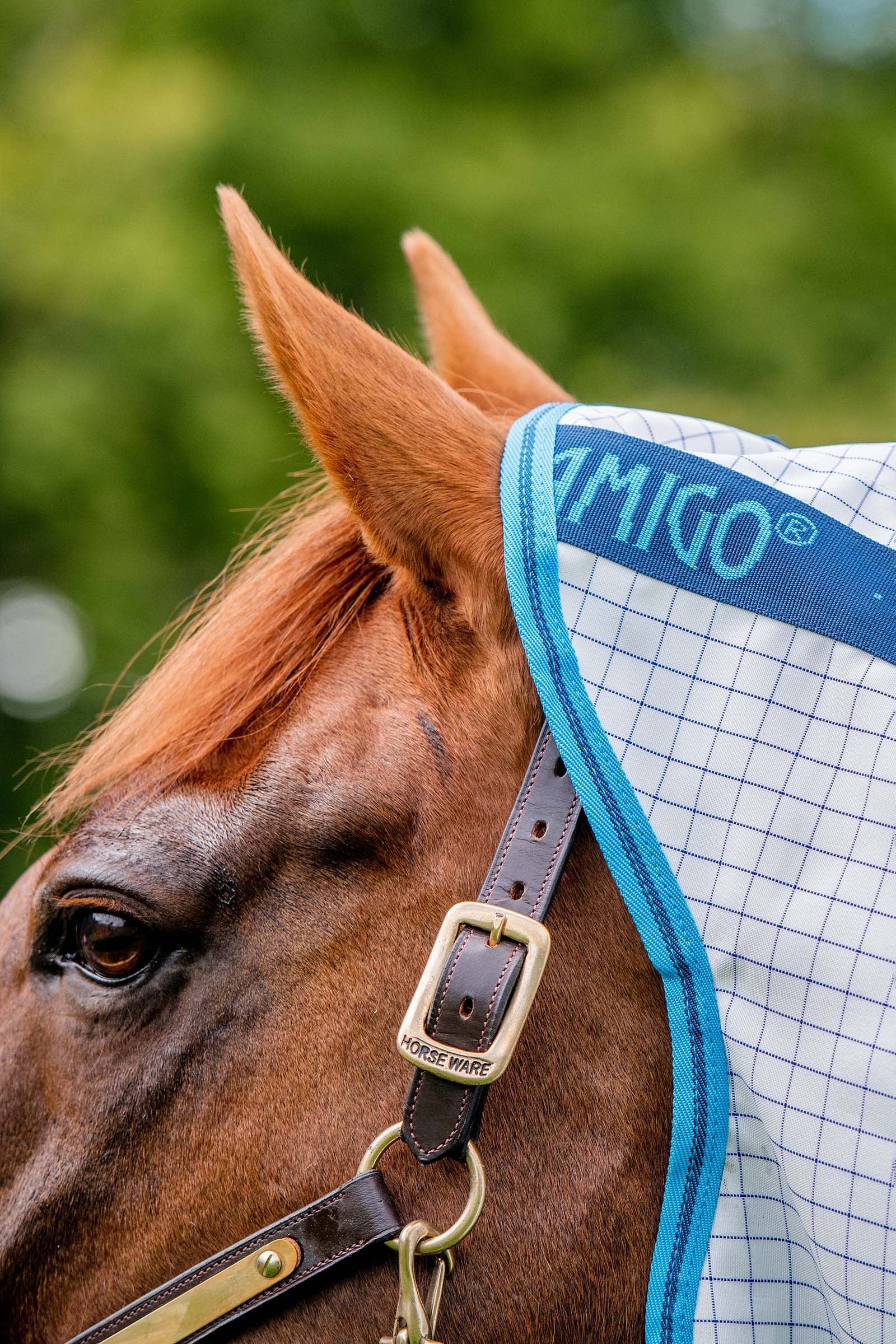 Horseware Amigo Summer Sheet Plus Horse Rugs