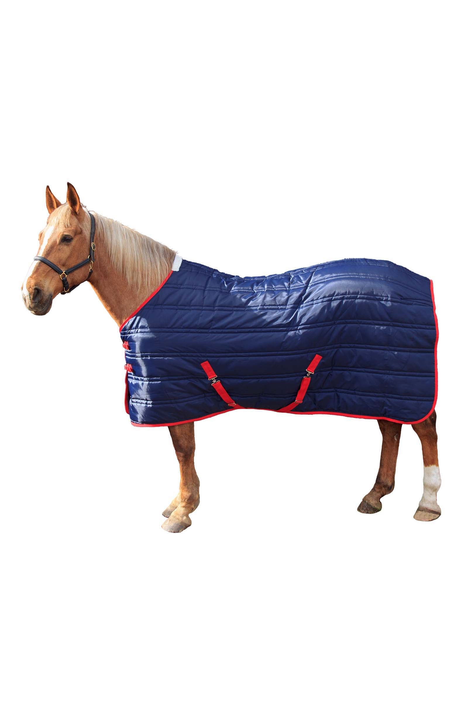 John Whitaker JW Thomas 250g Stable rug Horse Rugs