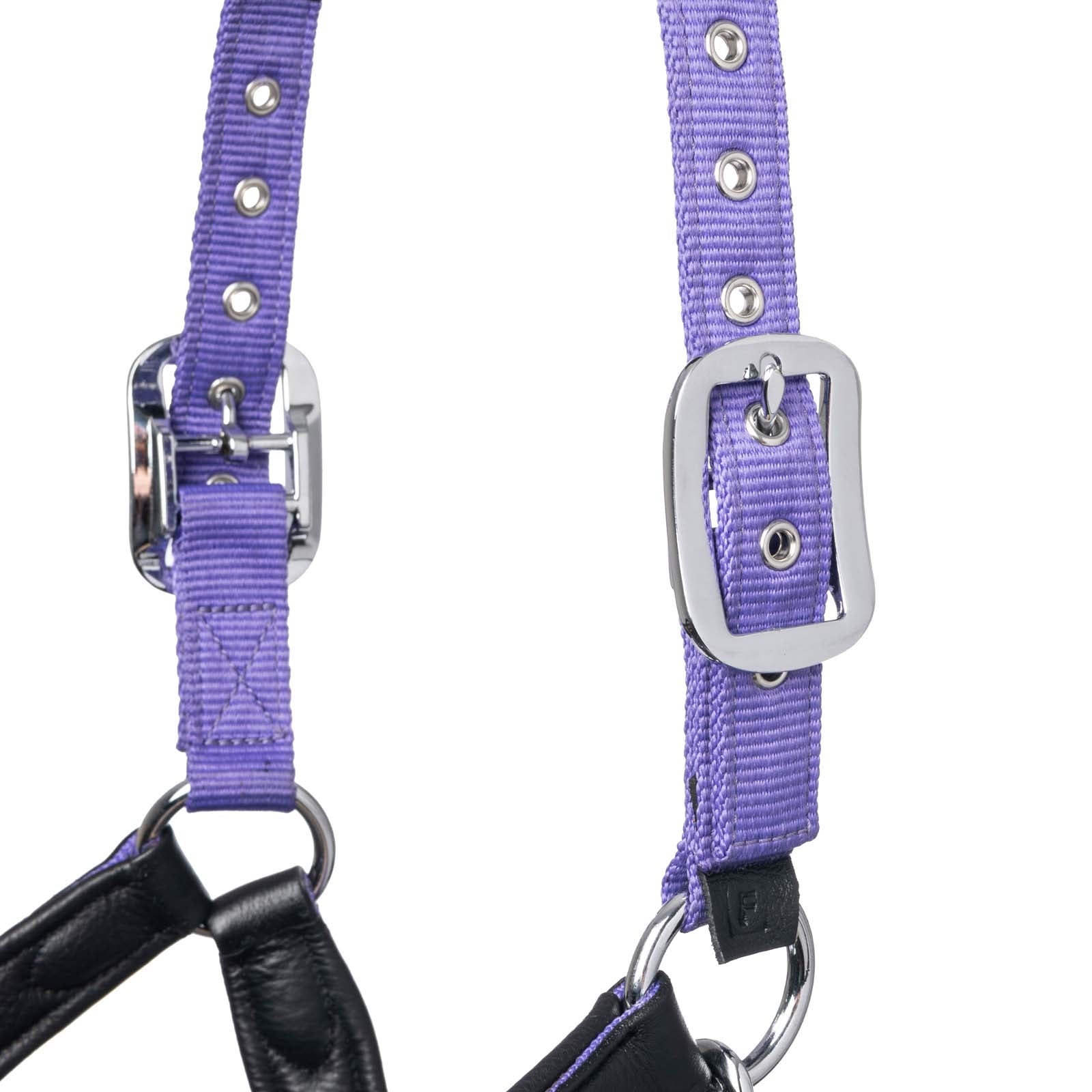 LeMieux Capella Headcollar Halters & Leads