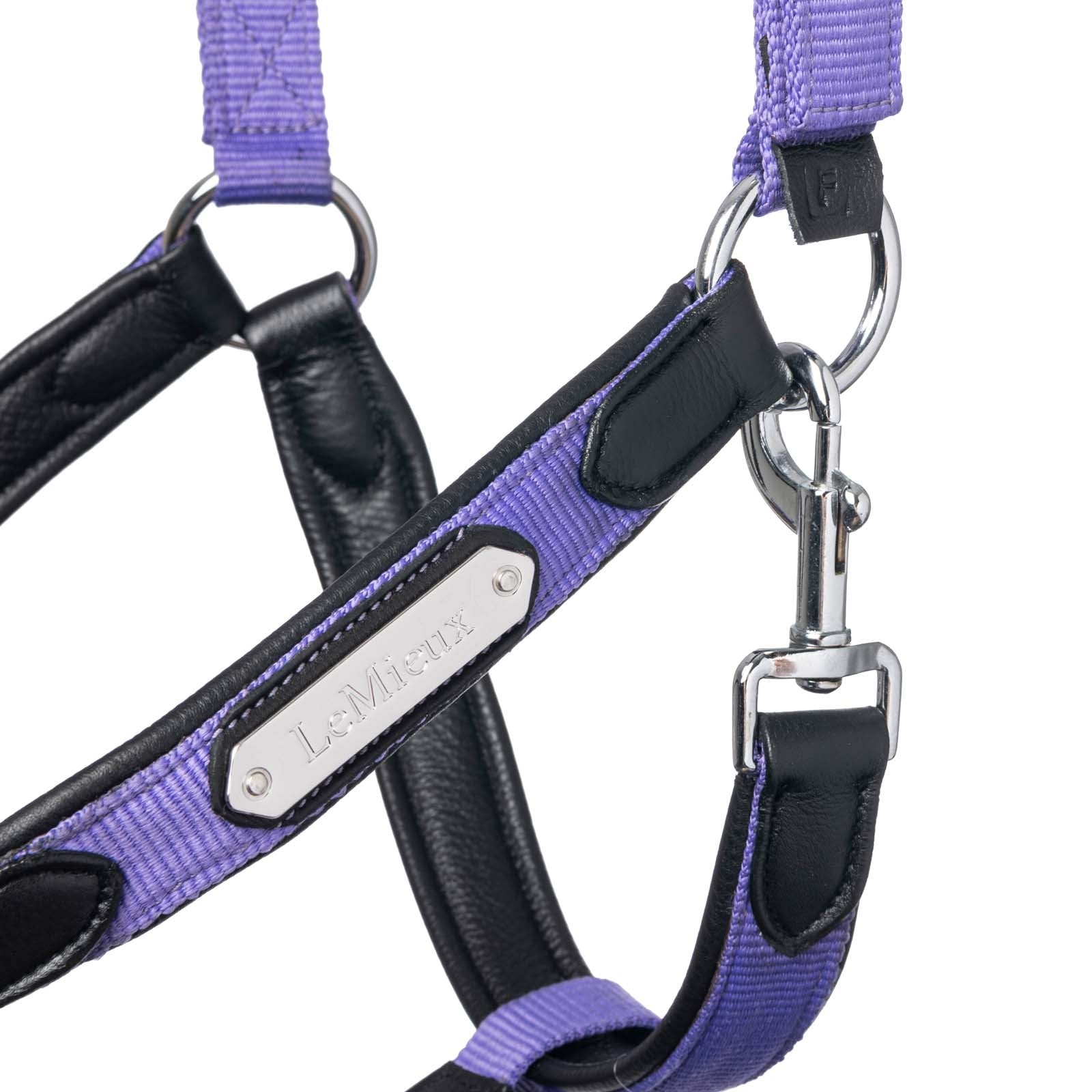 LeMieux Capella Headcollar Halters & Leads