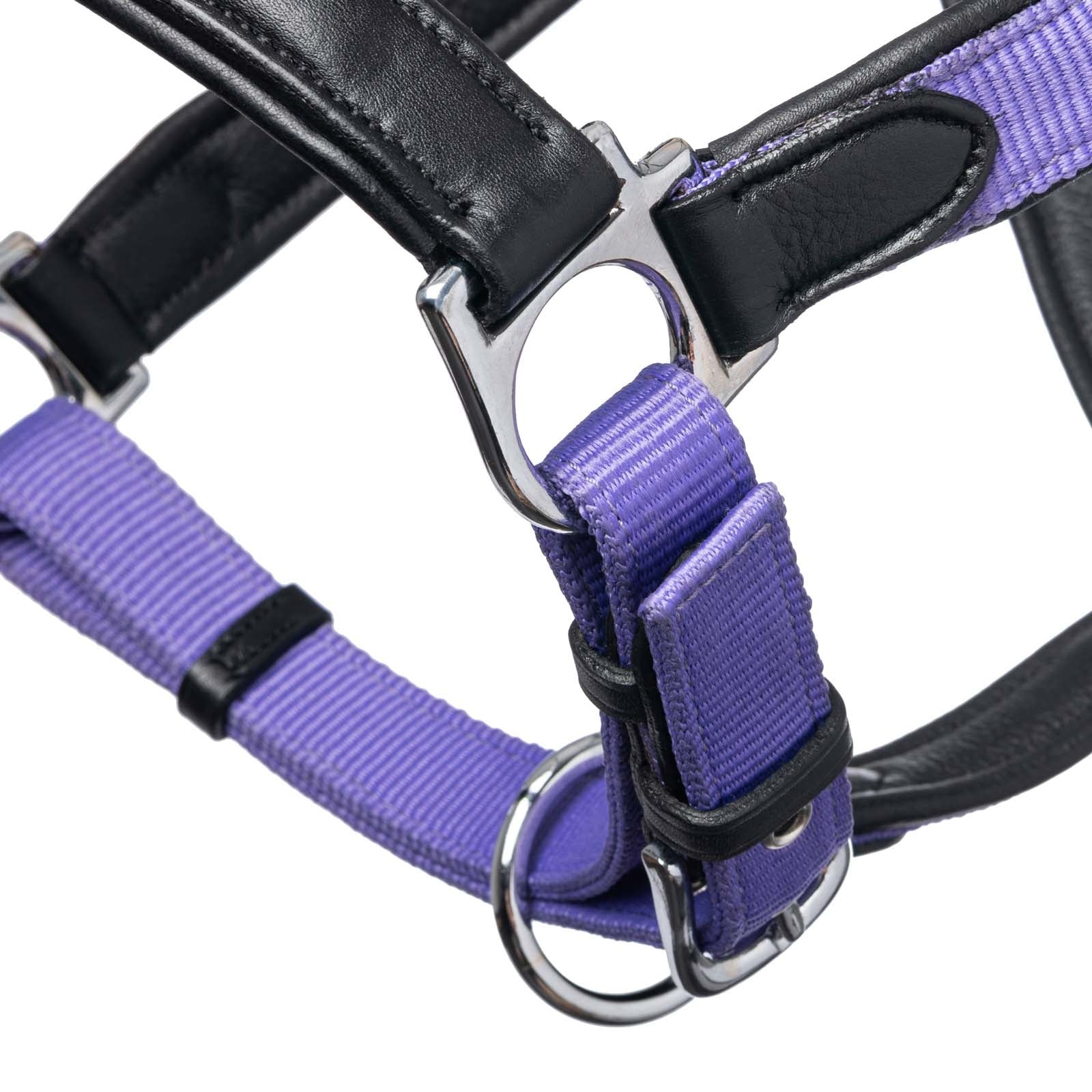 LeMieux Capella Headcollar Halters & Leads