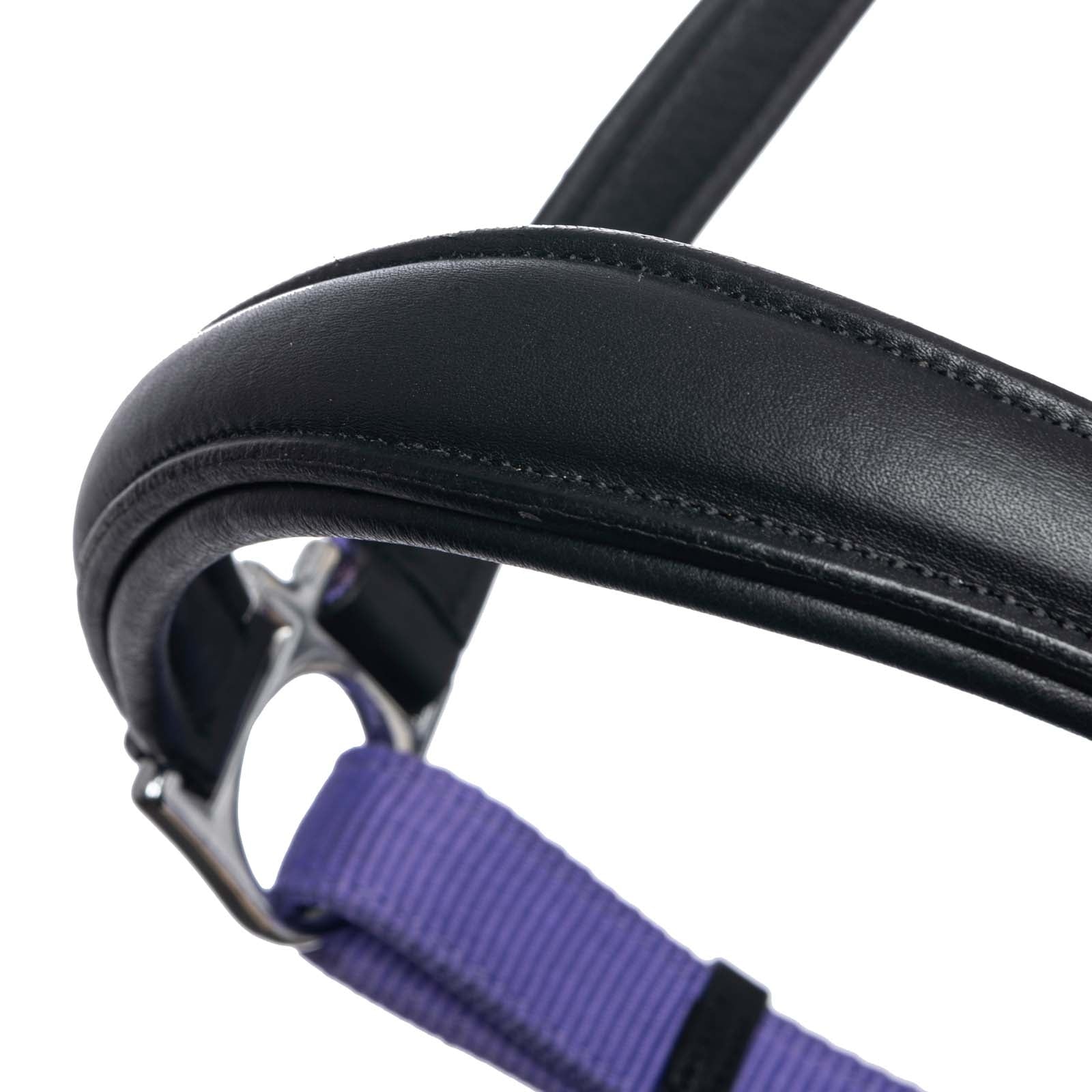 LeMieux Capella Headcollar Halters & Leads
