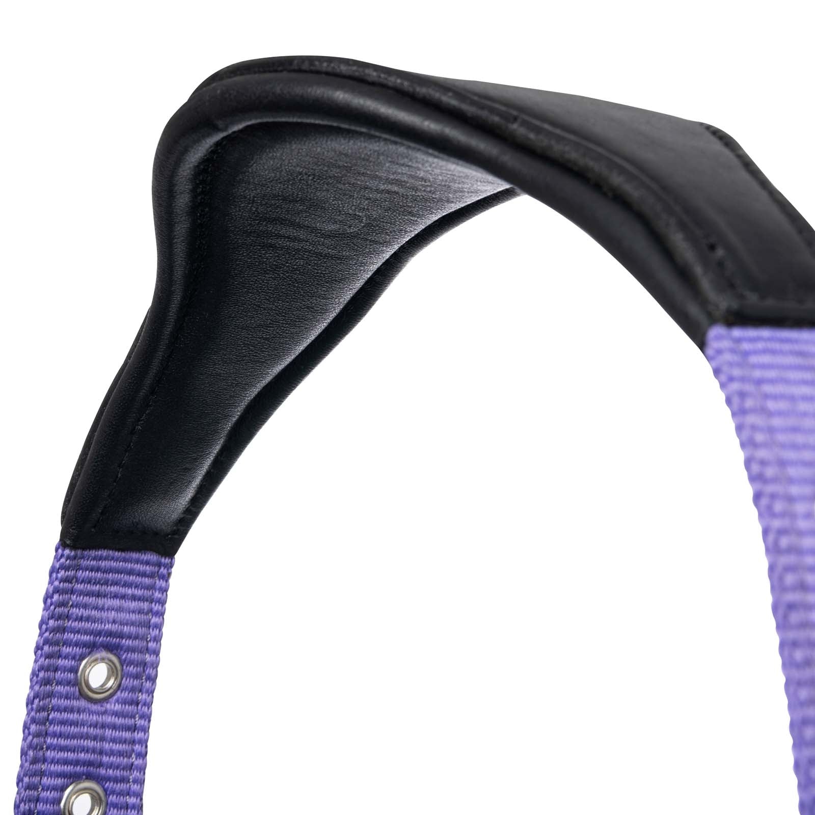 LeMieux Capella Headcollar Halters & Leads