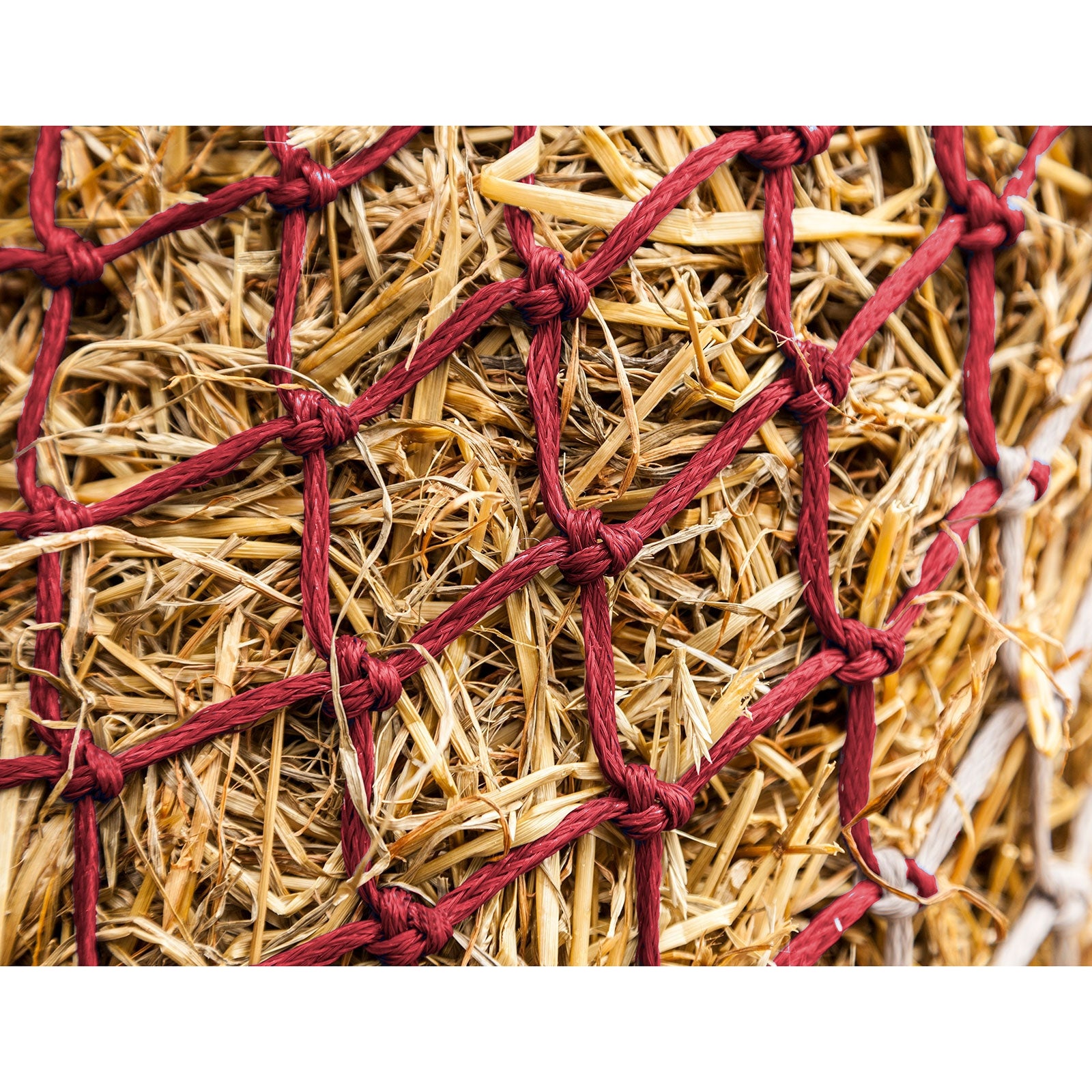 LeMieux Hippo Hønet Fodring & Vanding