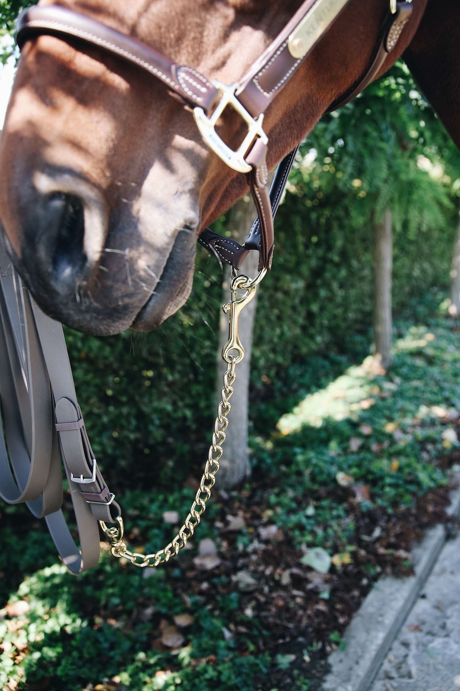 Kentucky Horsewear Stallion Chain 60 Cm Halters & Leads