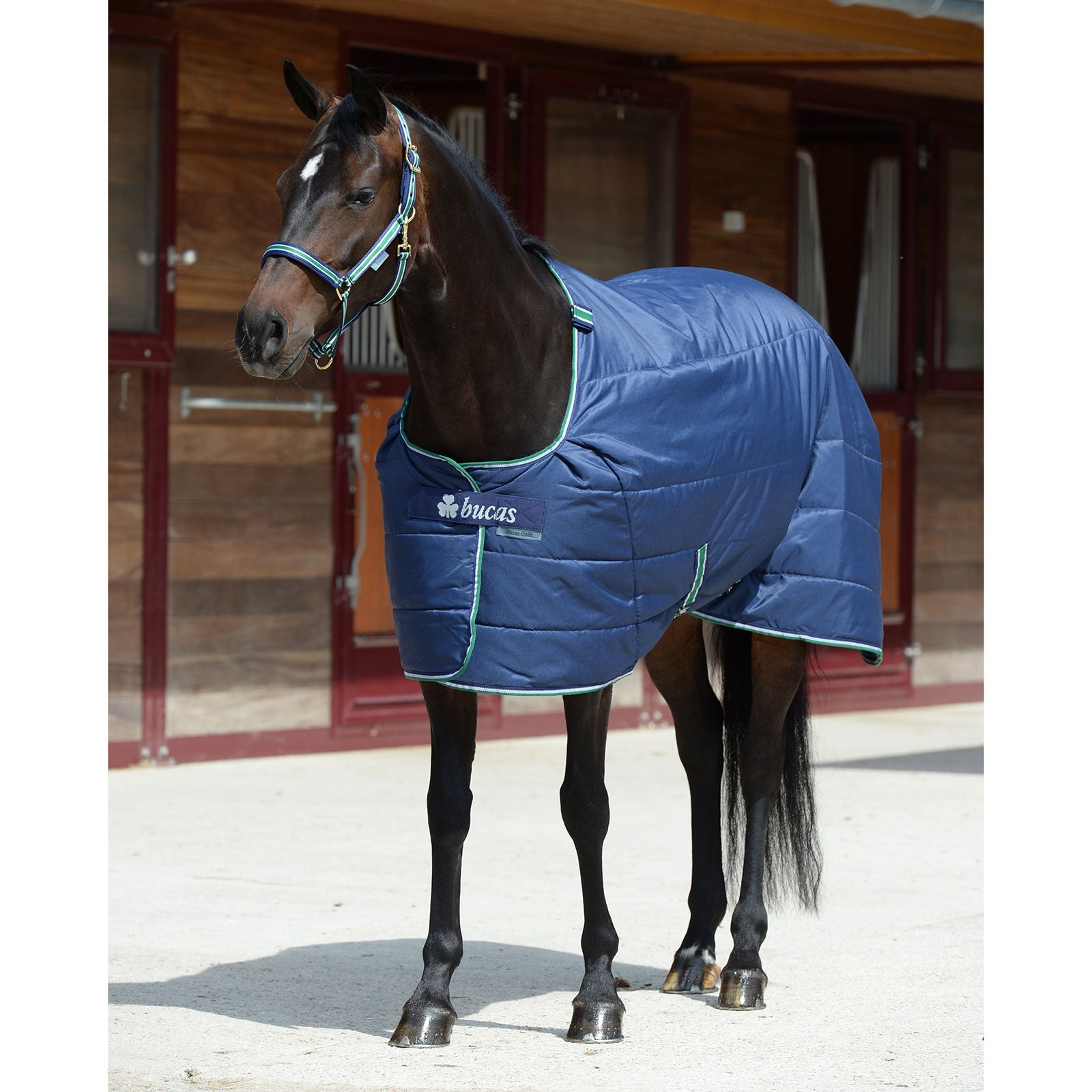 Bucas Quilt Stay Dry Under Rug, 300g Horse Rugs