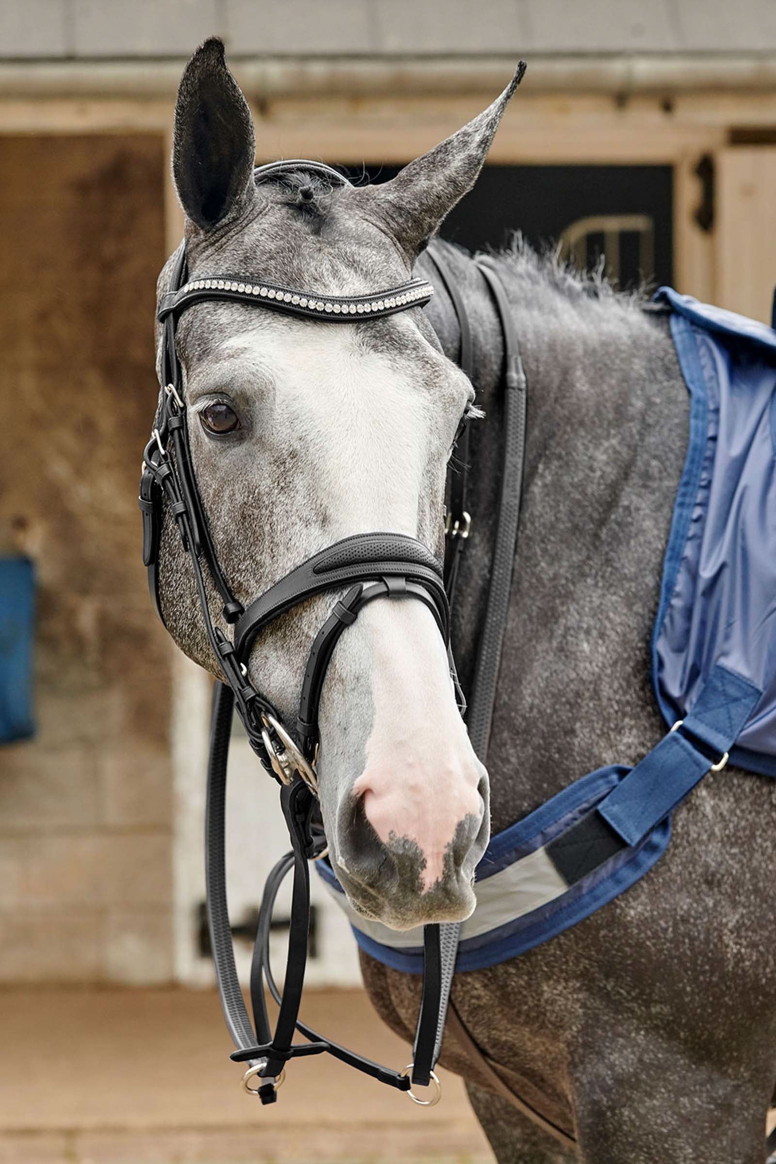 John Whitaker Chicago Perforated Bling trense. Trenser & tøjler