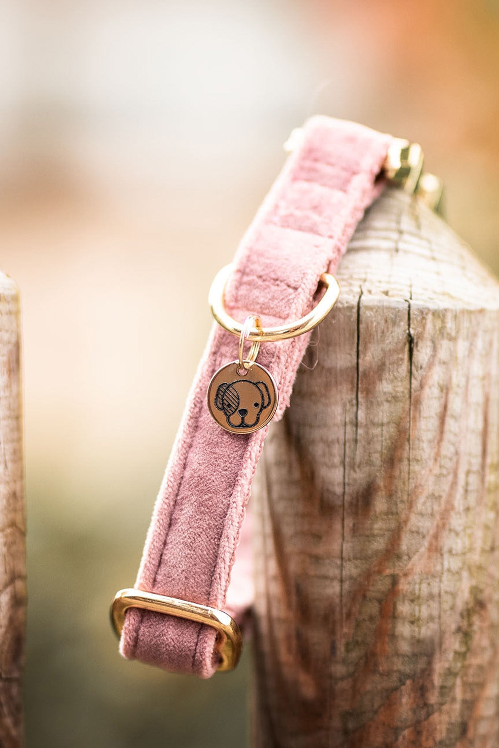 Kentucky Dogwear Dog Collar Velvet Dog Accesories