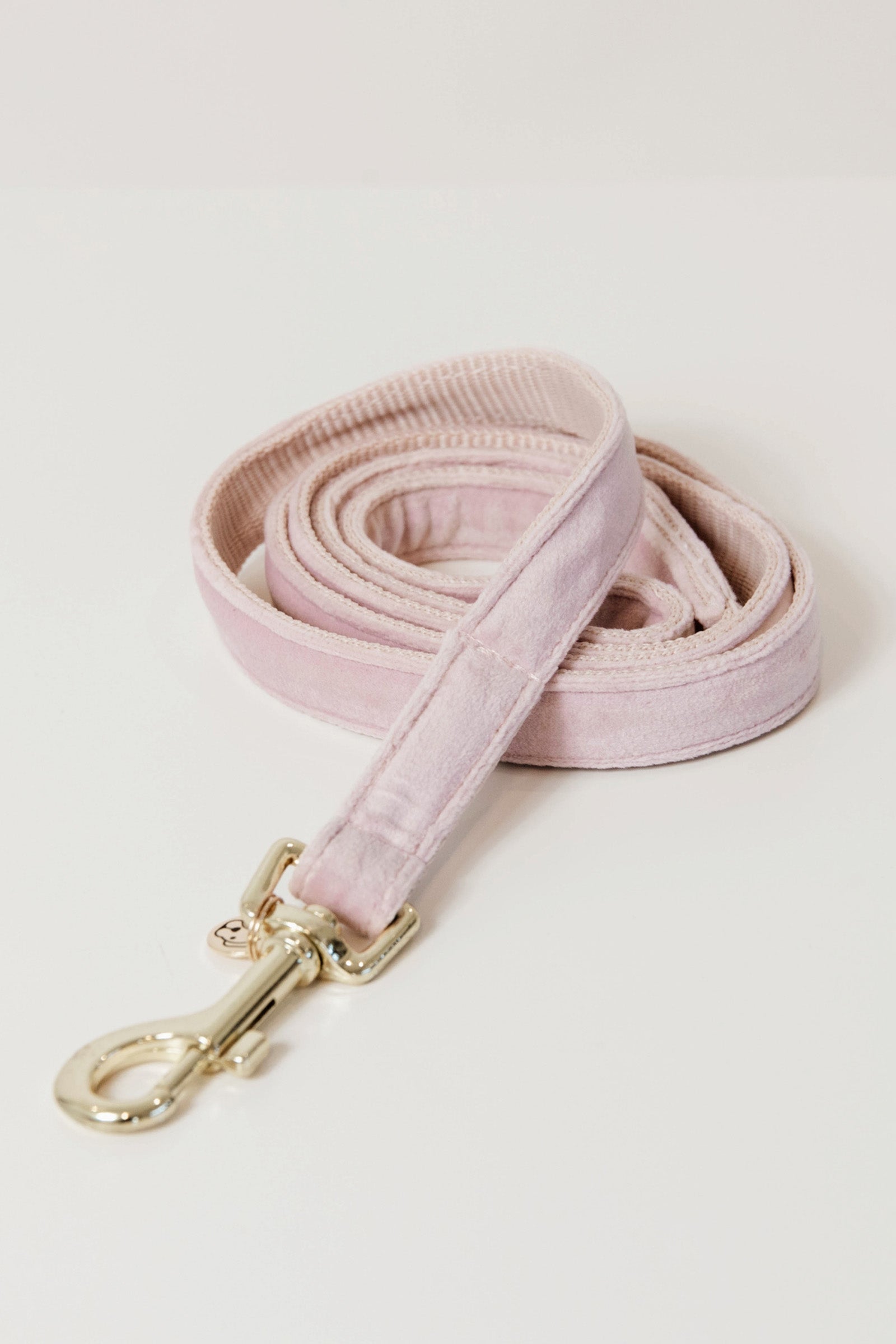 Kentucky Dogwear Dog Lead Velvet hundesnor Hund