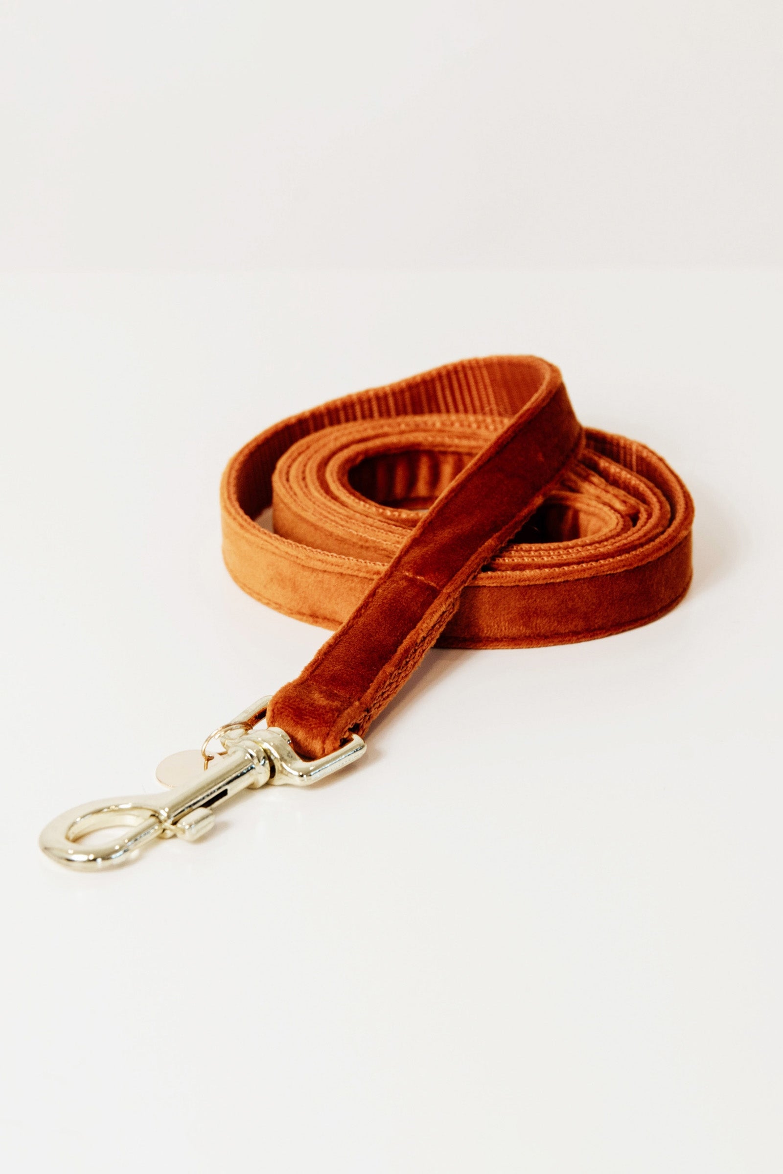 Kentucky Dogwear Dog Lead Velvet hundesnor Hund