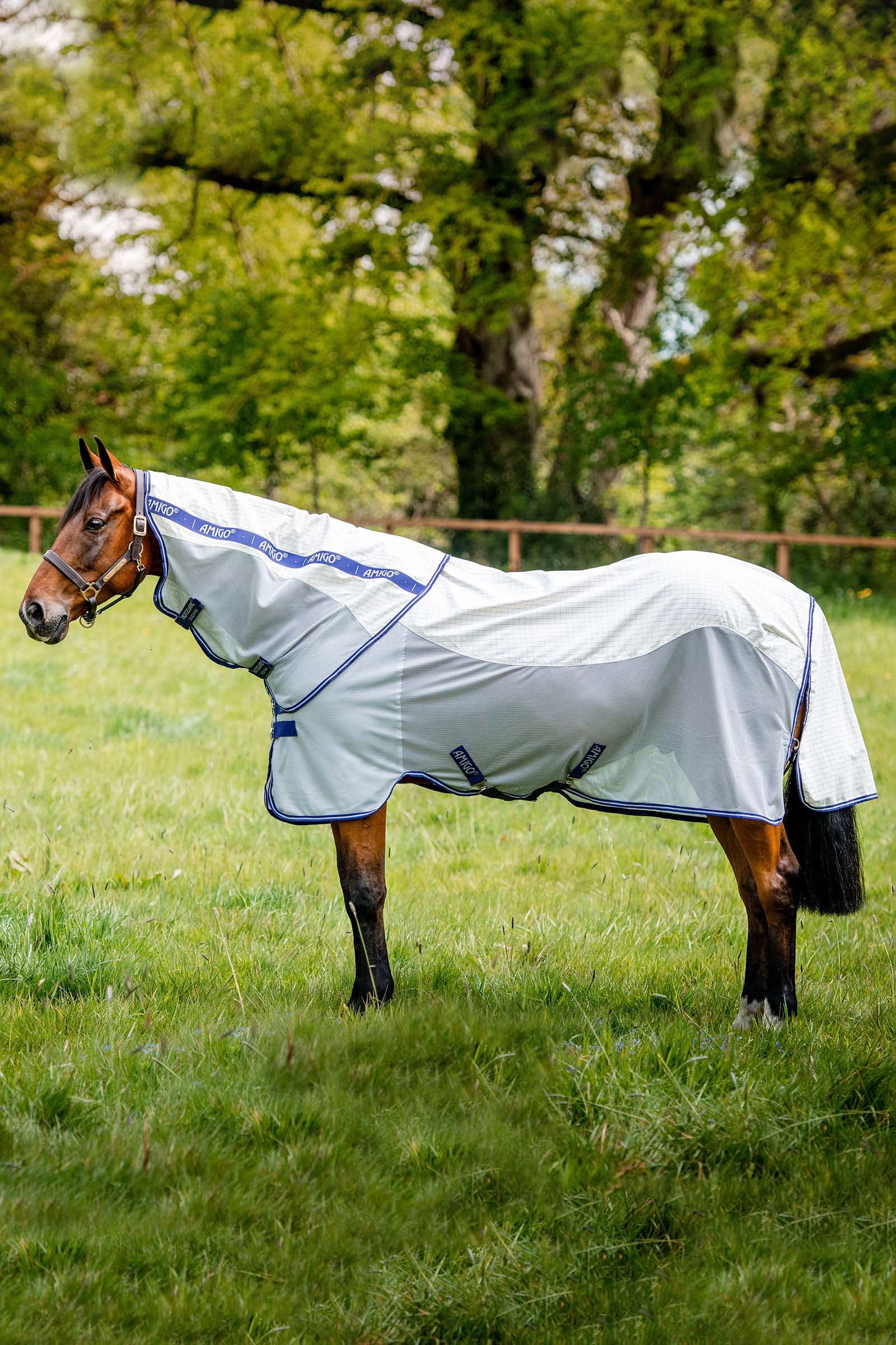 Horseware Amigo Airflow fluetæppe med aftagelig halsdel Hestedækken