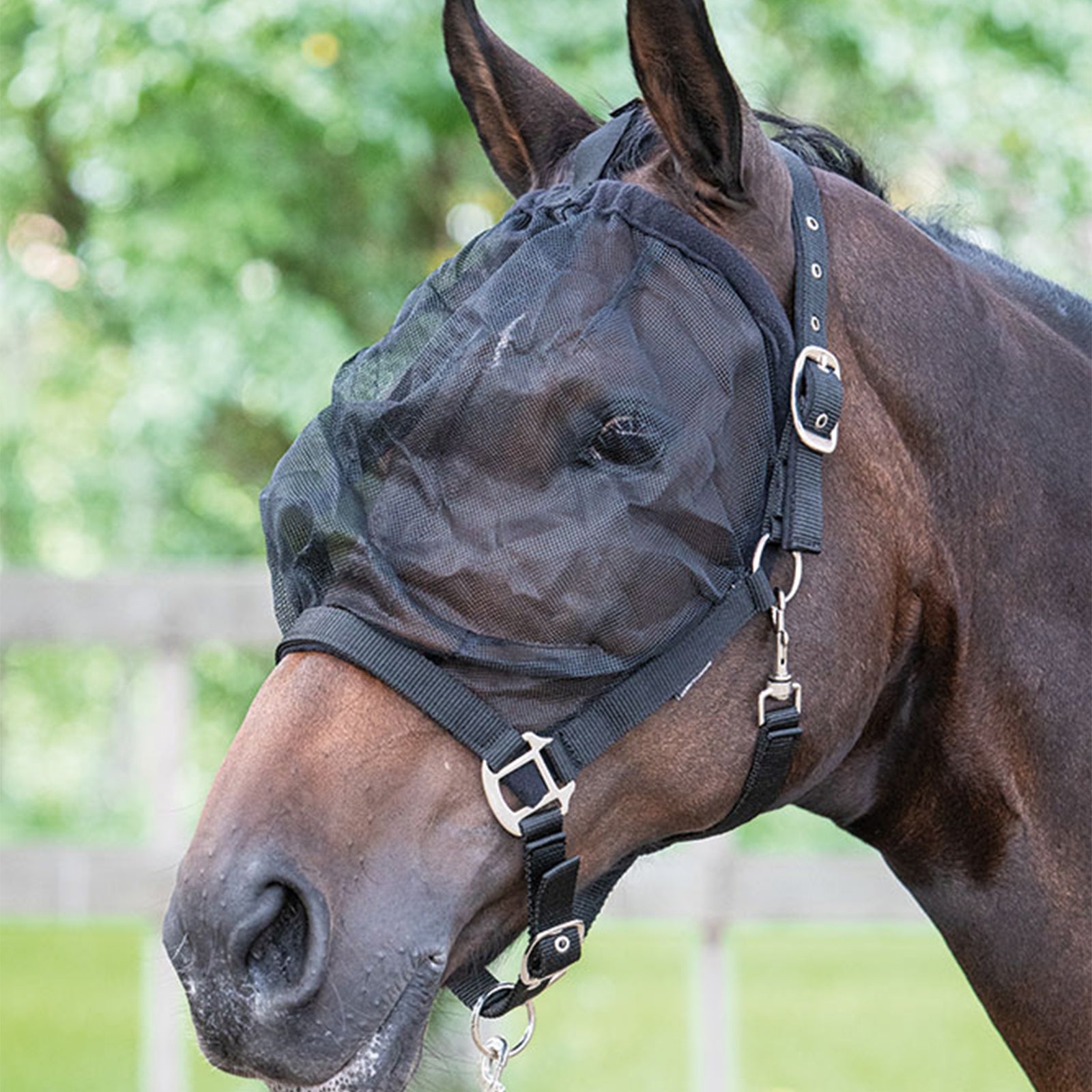 Harry's Horse Fluehætte med Grime Grimer & Træktove