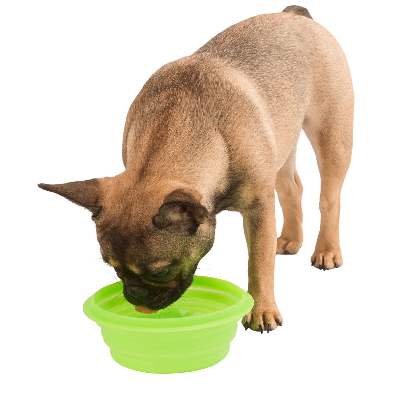 Kerbl Foldable Silicone Travel Bowl 1000ml Dog Accesories