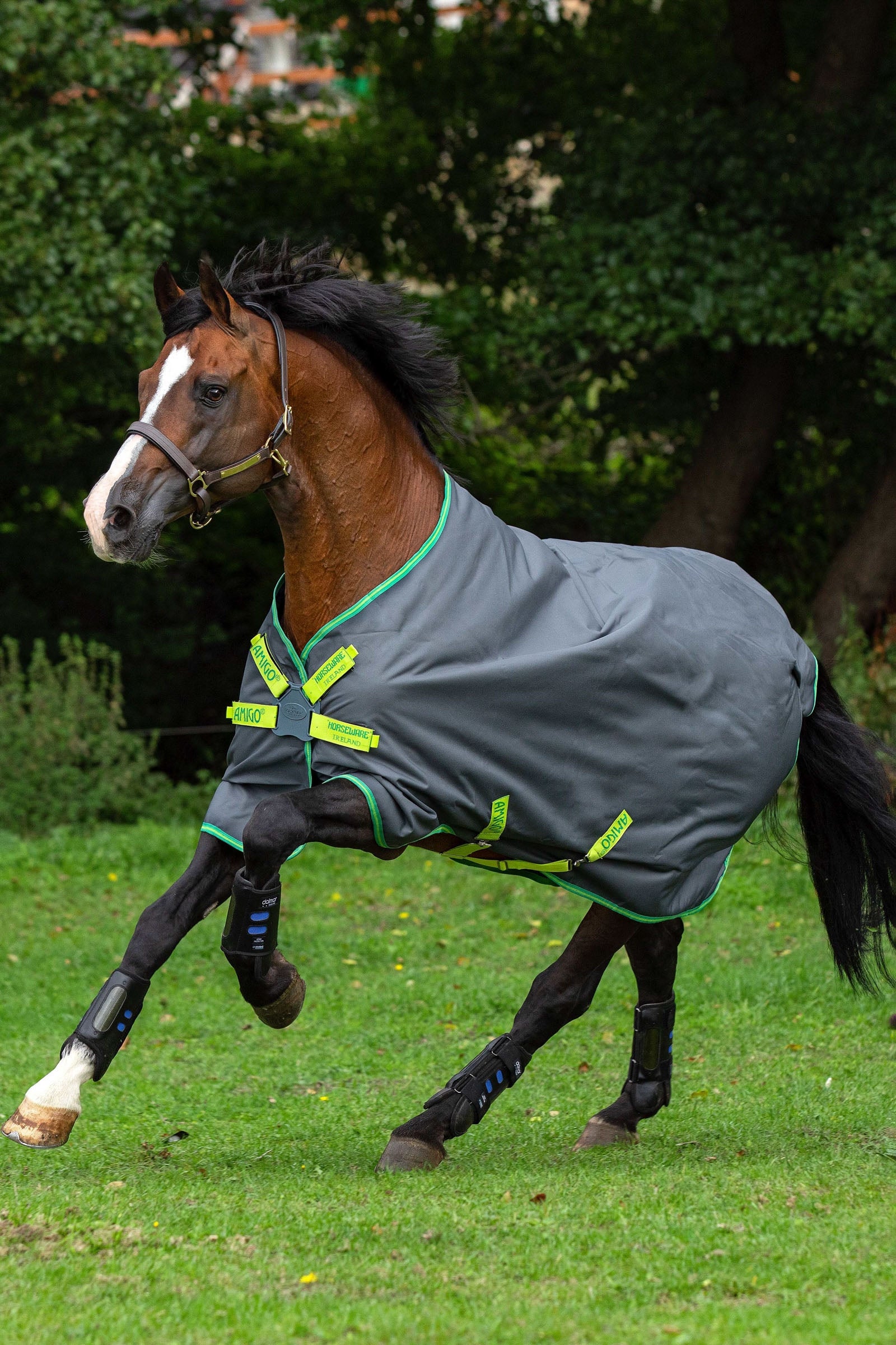 Horseware Amigo Hero 900 Lite Disc regndækken, 0 g Hestedækken