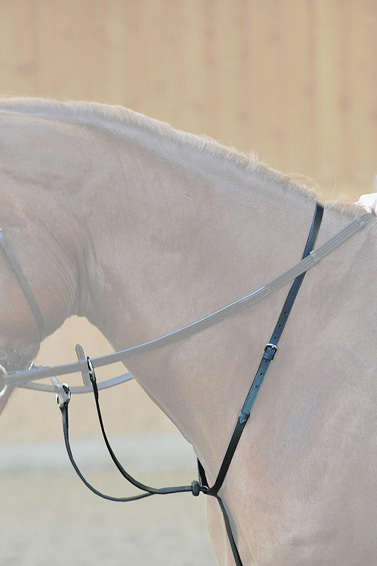 Kavalkade Ecoline Martingal with Stoppers Bridles & Reins