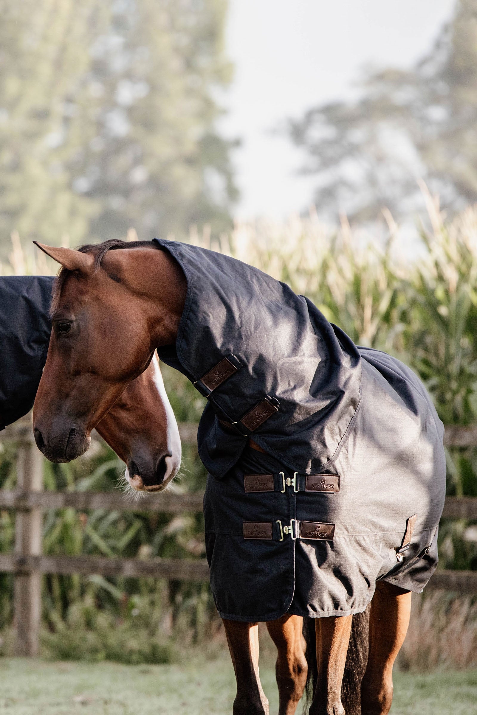 Kentucky Horsewear All Weather Classic regndækken, 0 g Hestedækken
