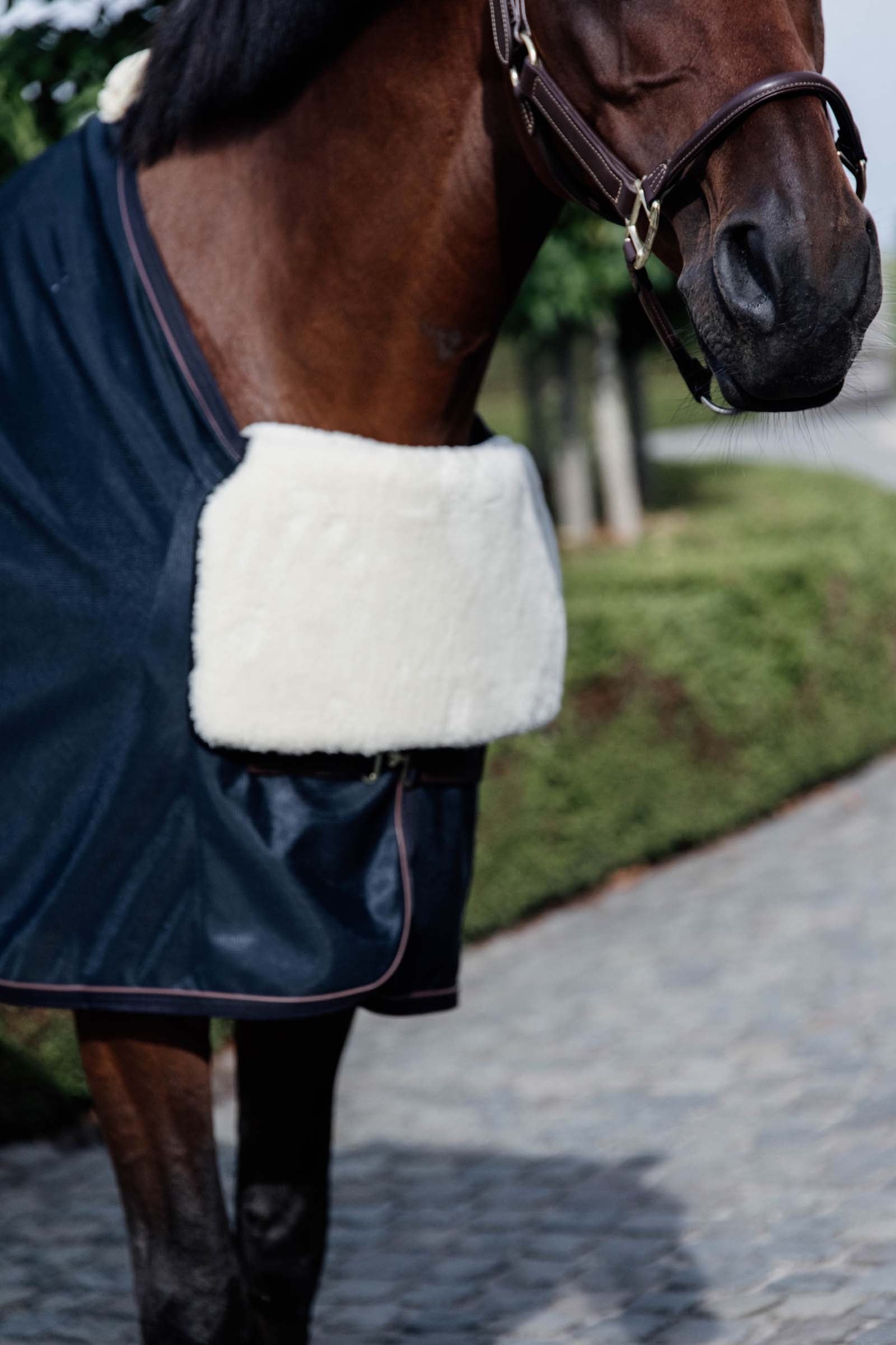 Kentucky Horsewear Horse BIB Sheepskin Bringebeskytter Hestedækken
