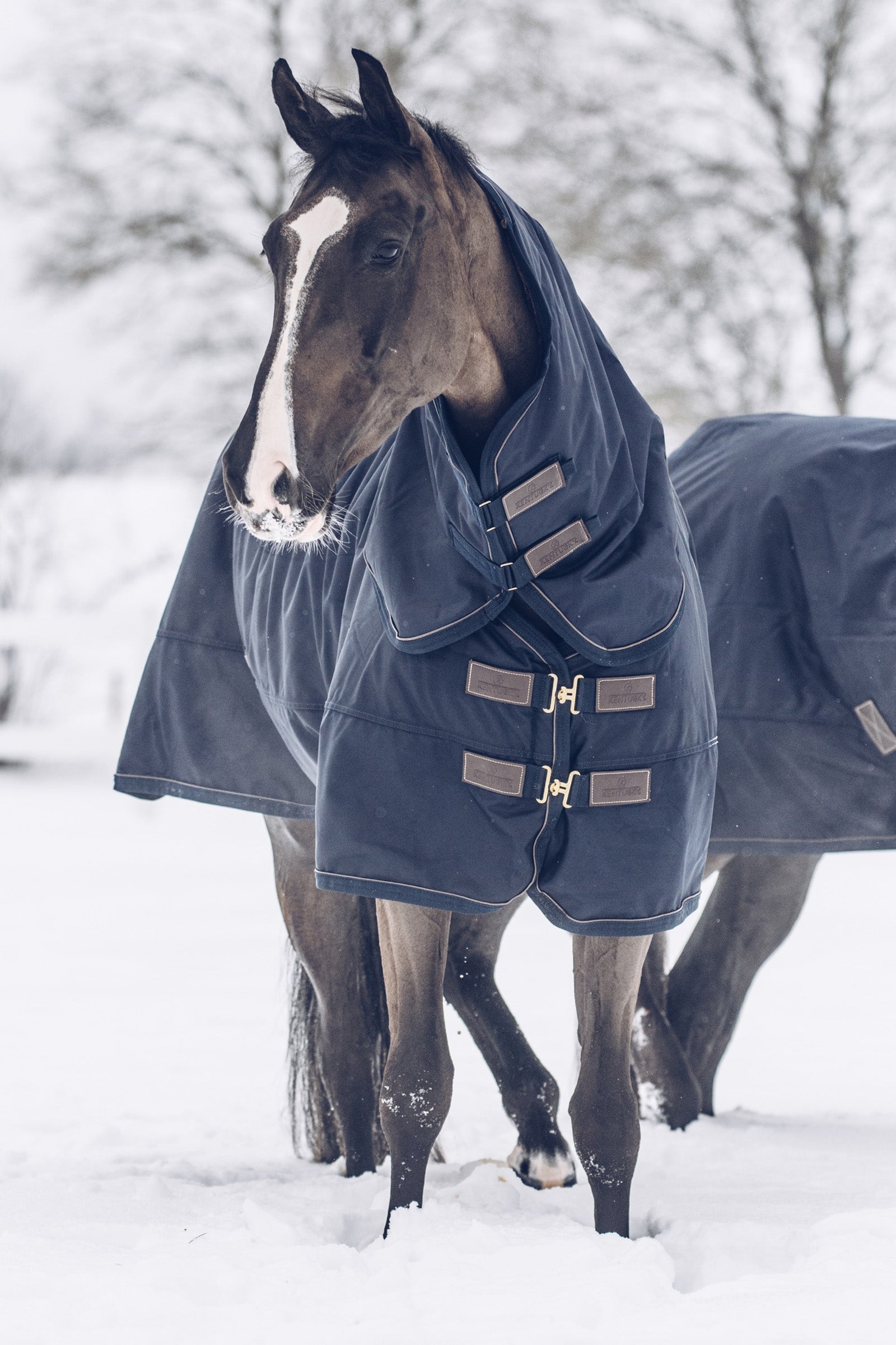 Kentucky Horsewear All Weather Waterproof Classic vinterdækken, 300 gr Hestedækken