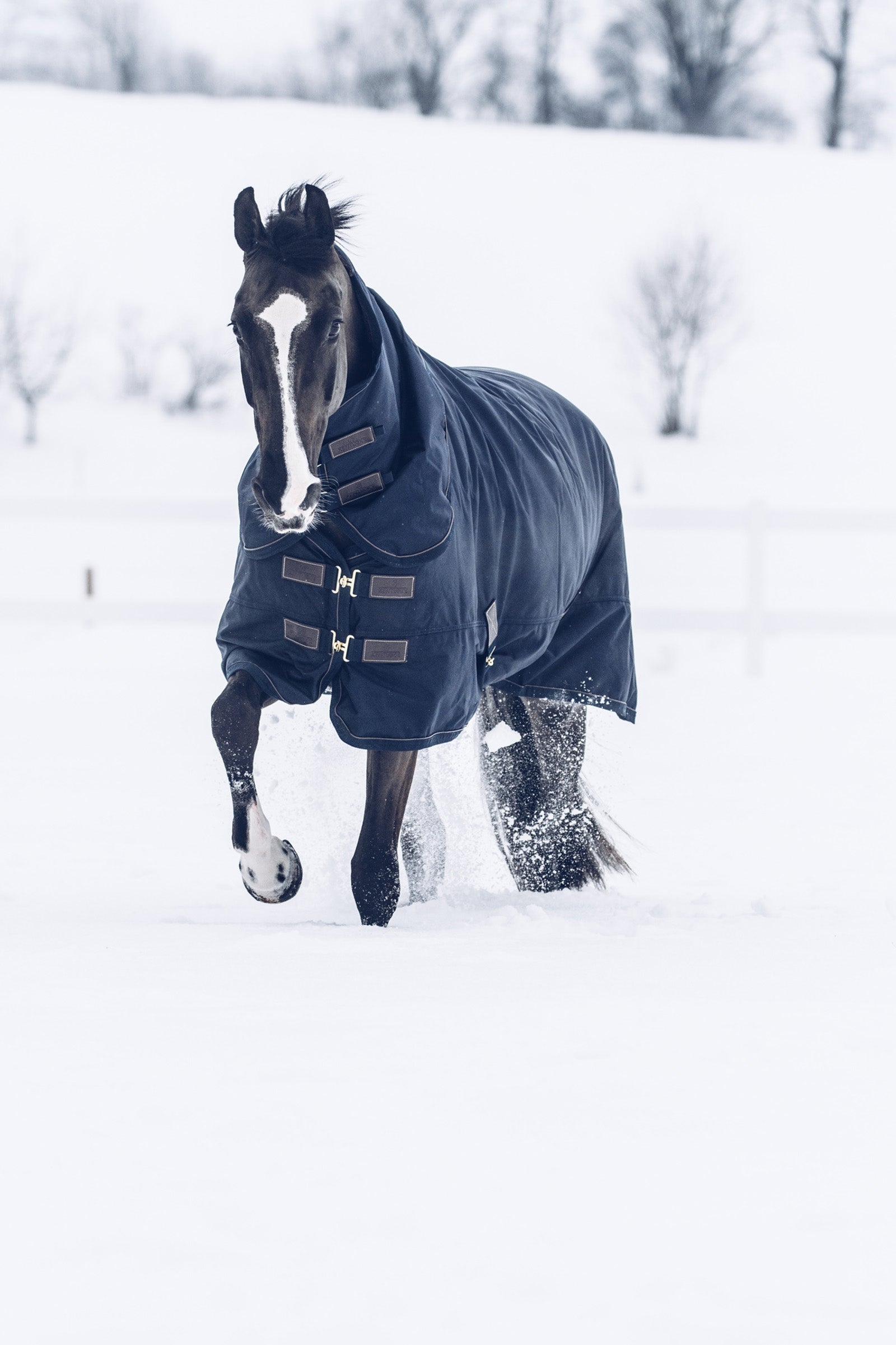 Kentucky Horsewear Turnout Rug All Weather Waterproof Classic, 300g Horse Rugs