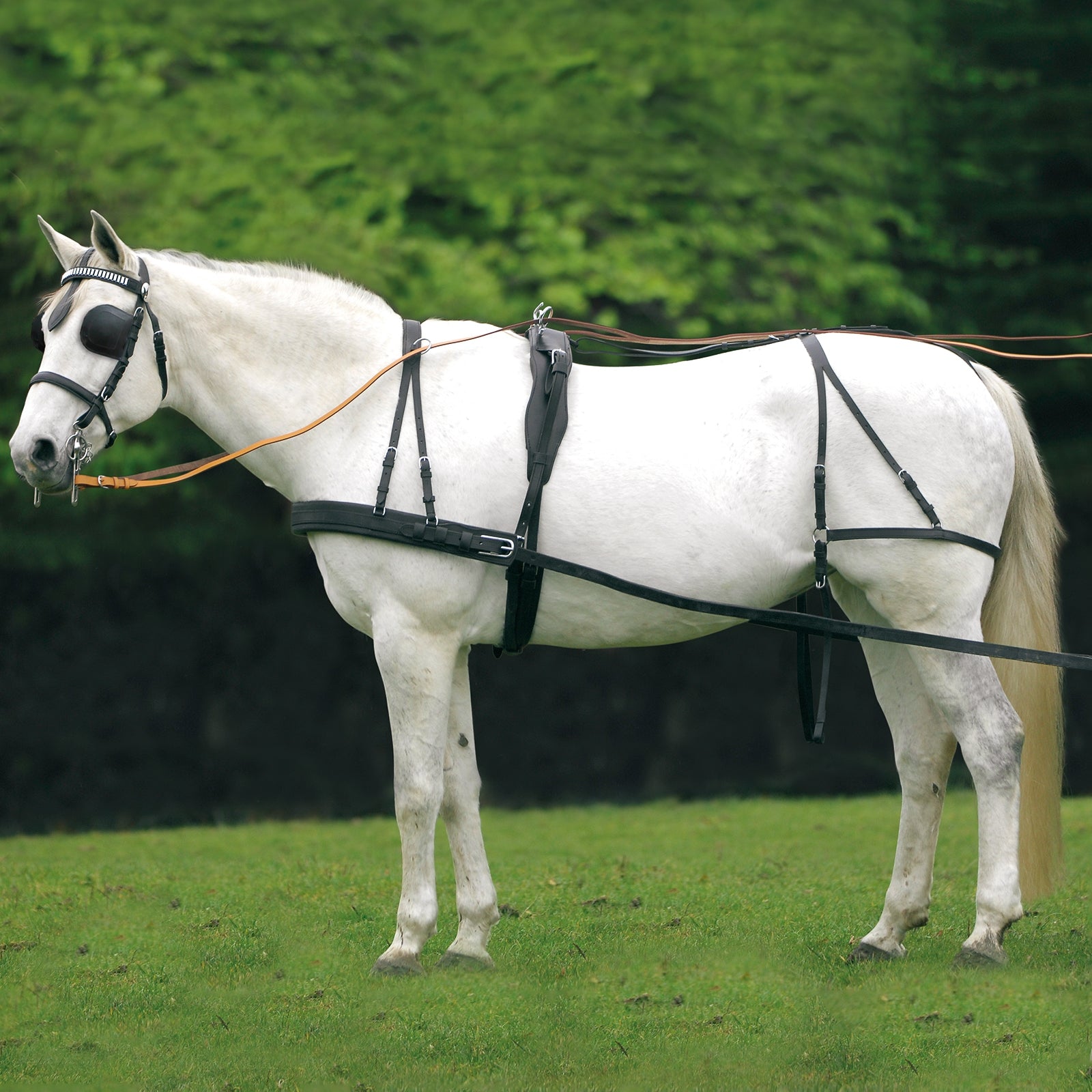 Waldhausen Economic Single seletøj cob og full Trav/monte/galop