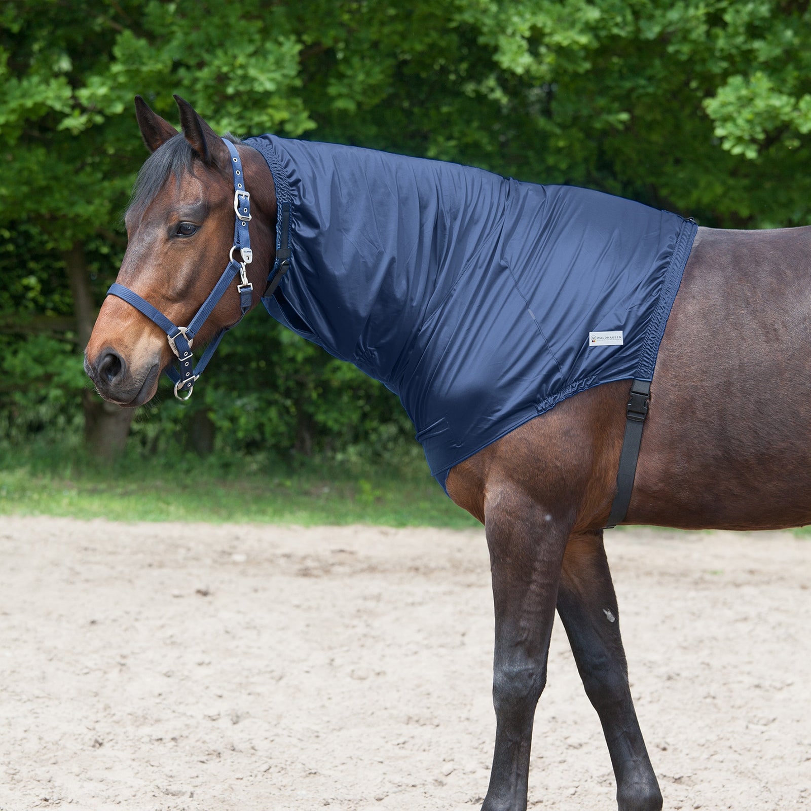 Waldhausen Eczema halsstykke Hestedækken