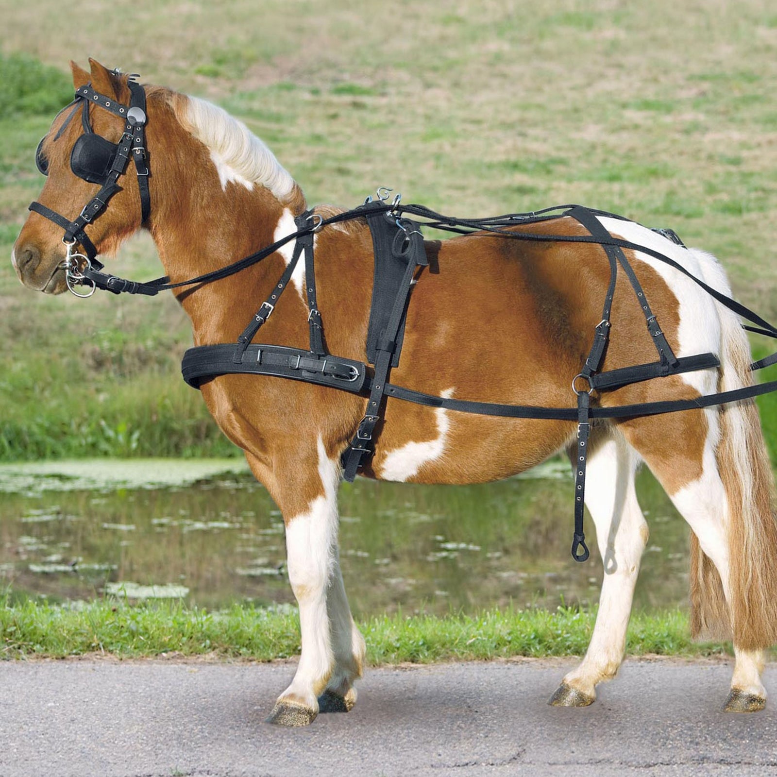 Waldhausen Single seletøj cob og full Trav/monte/galop