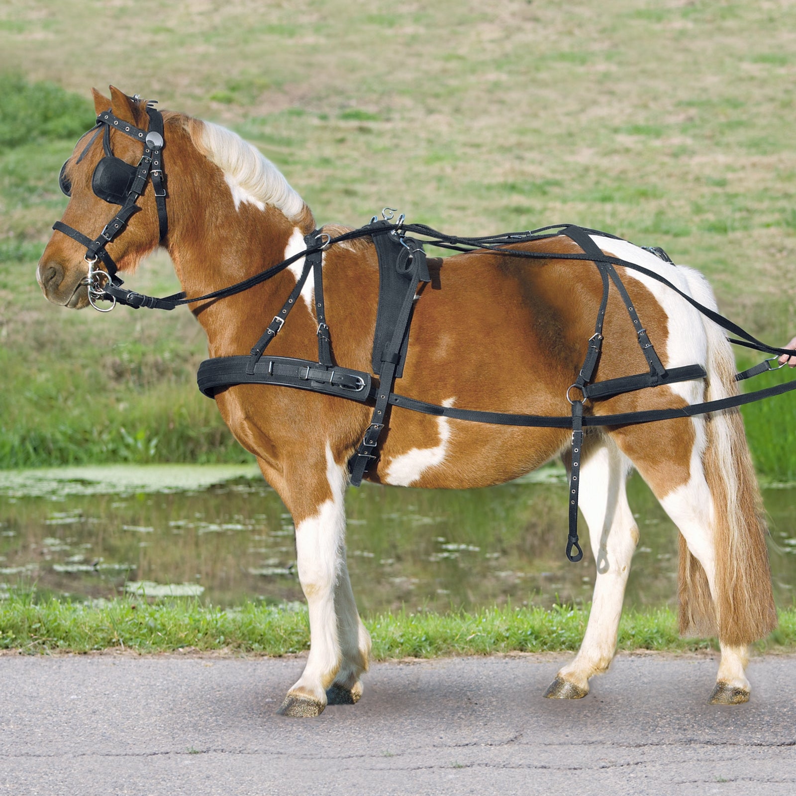 Waldhausen Single seletøj pony og shetter Trav/monte/galop