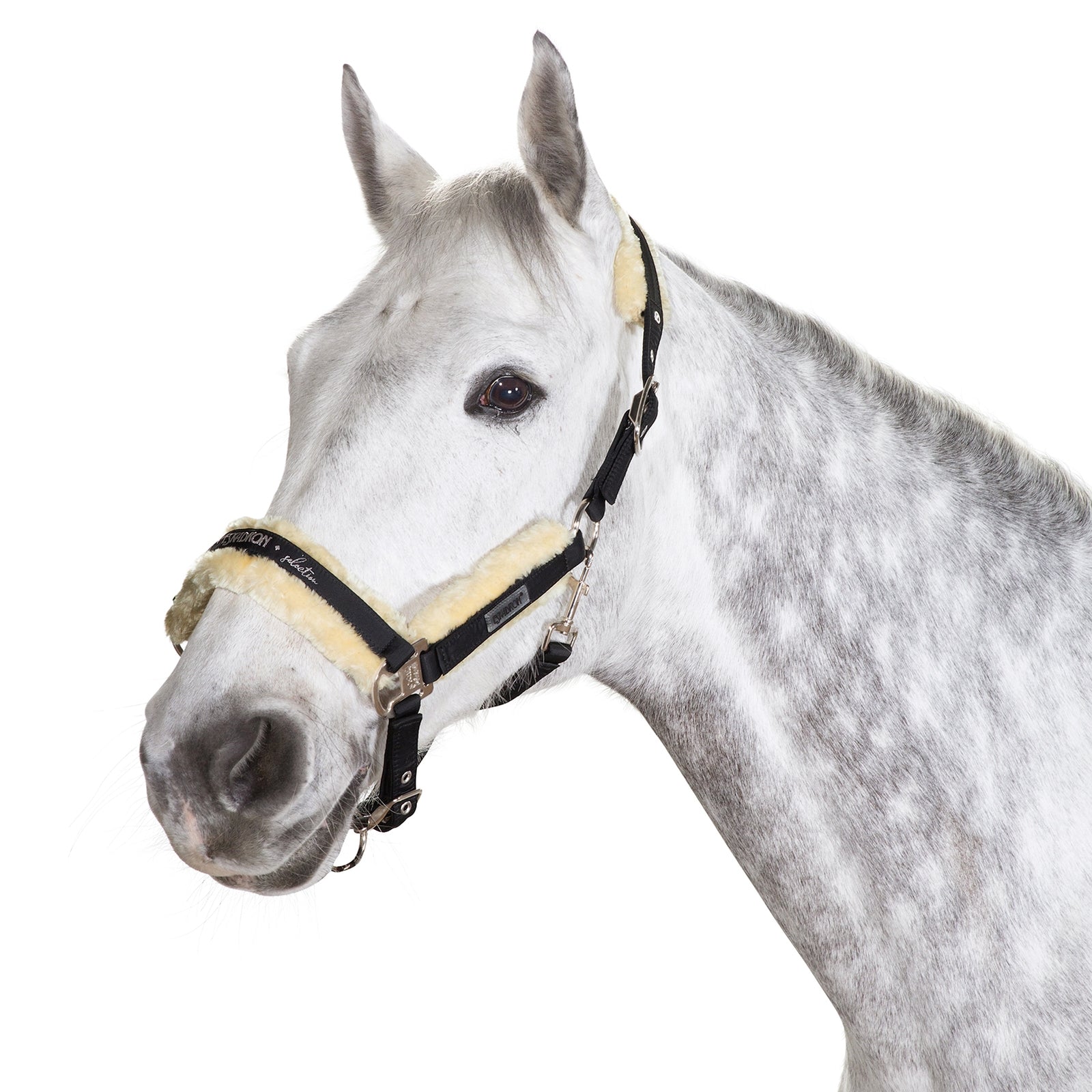 Eskadron Fauxfur Pin Buckle grime Grimer & Træktove