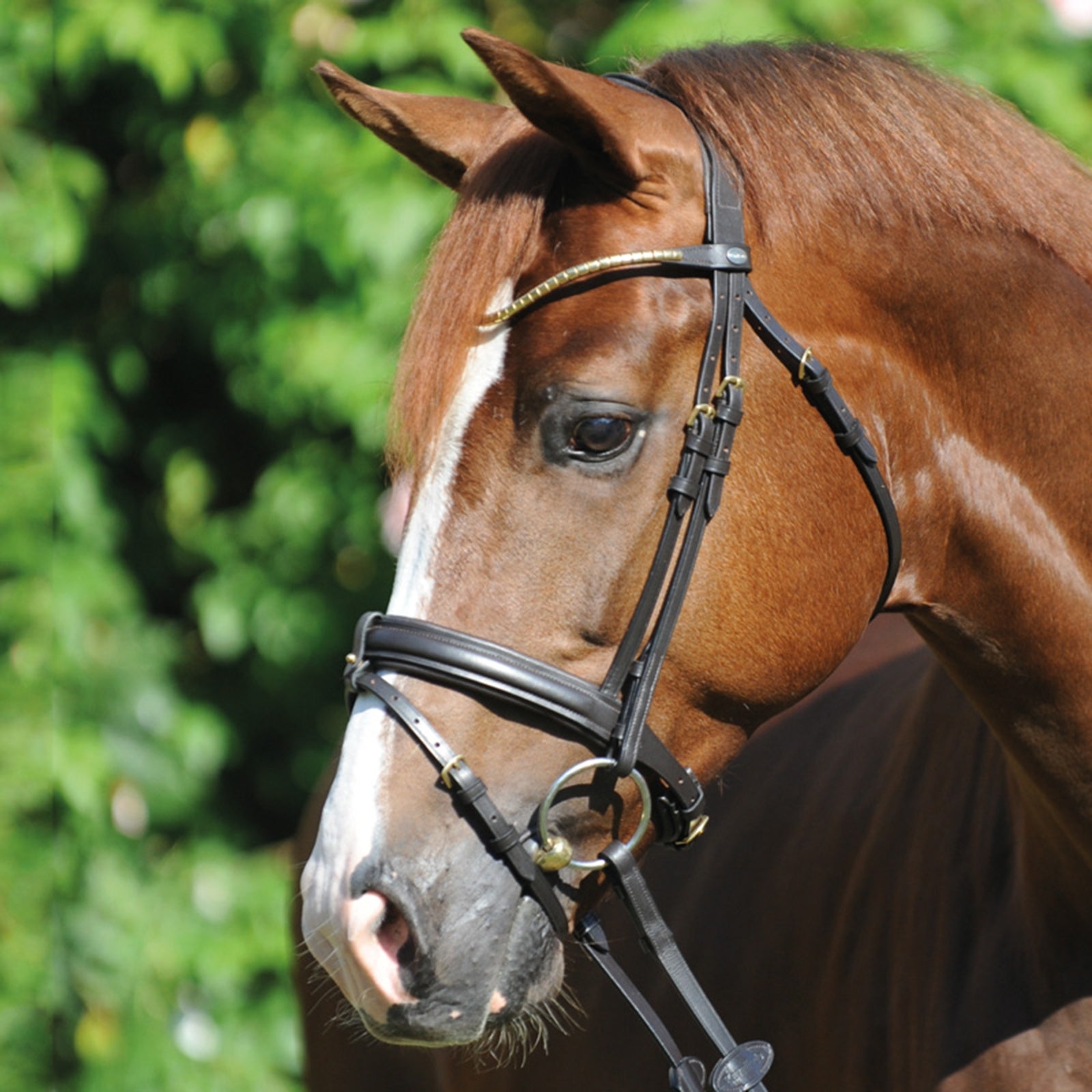 Kavalkade Clinchesse Bridle Trenser & tøjler