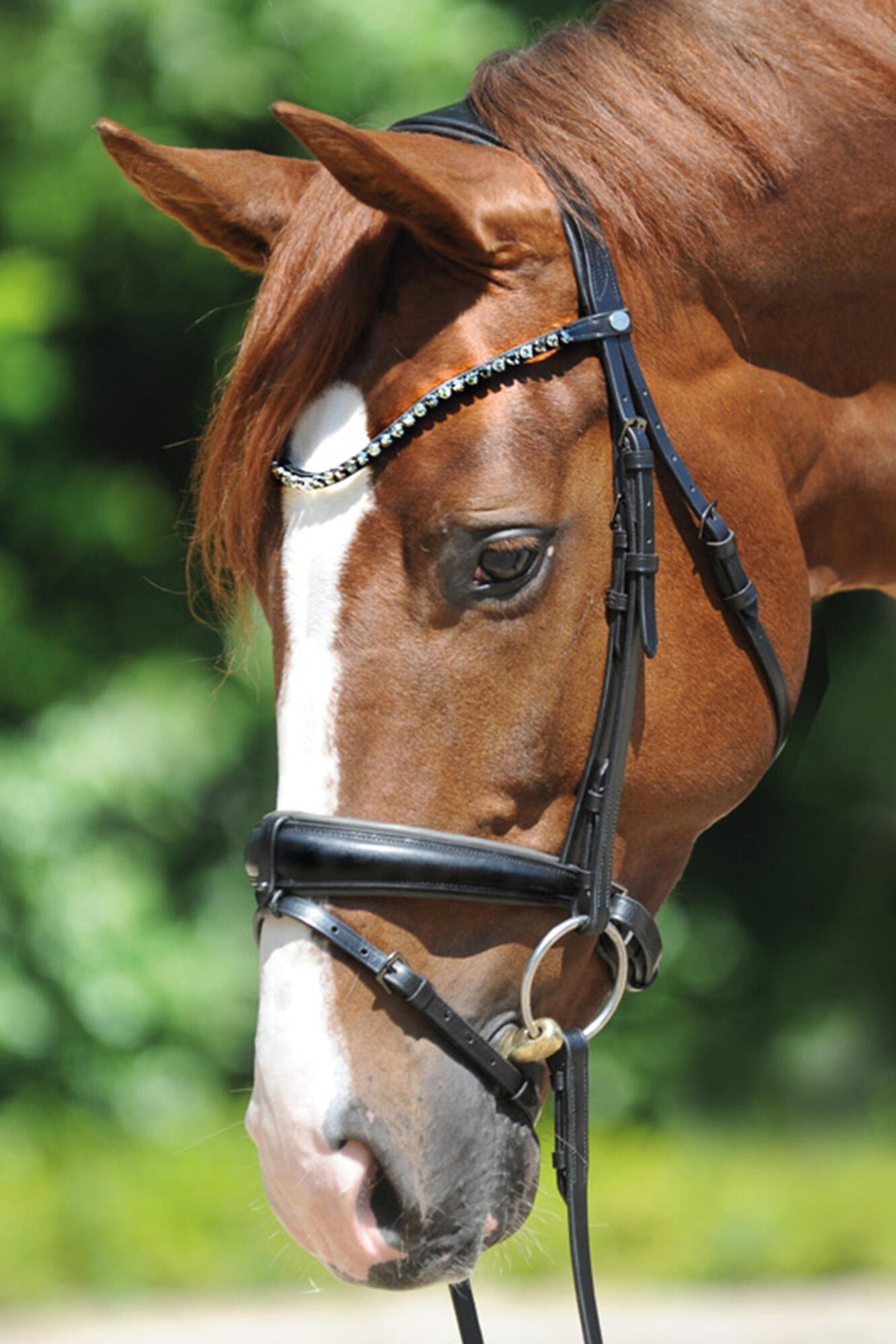 Kavalkade Grey Bridle Trenser & tøjler
