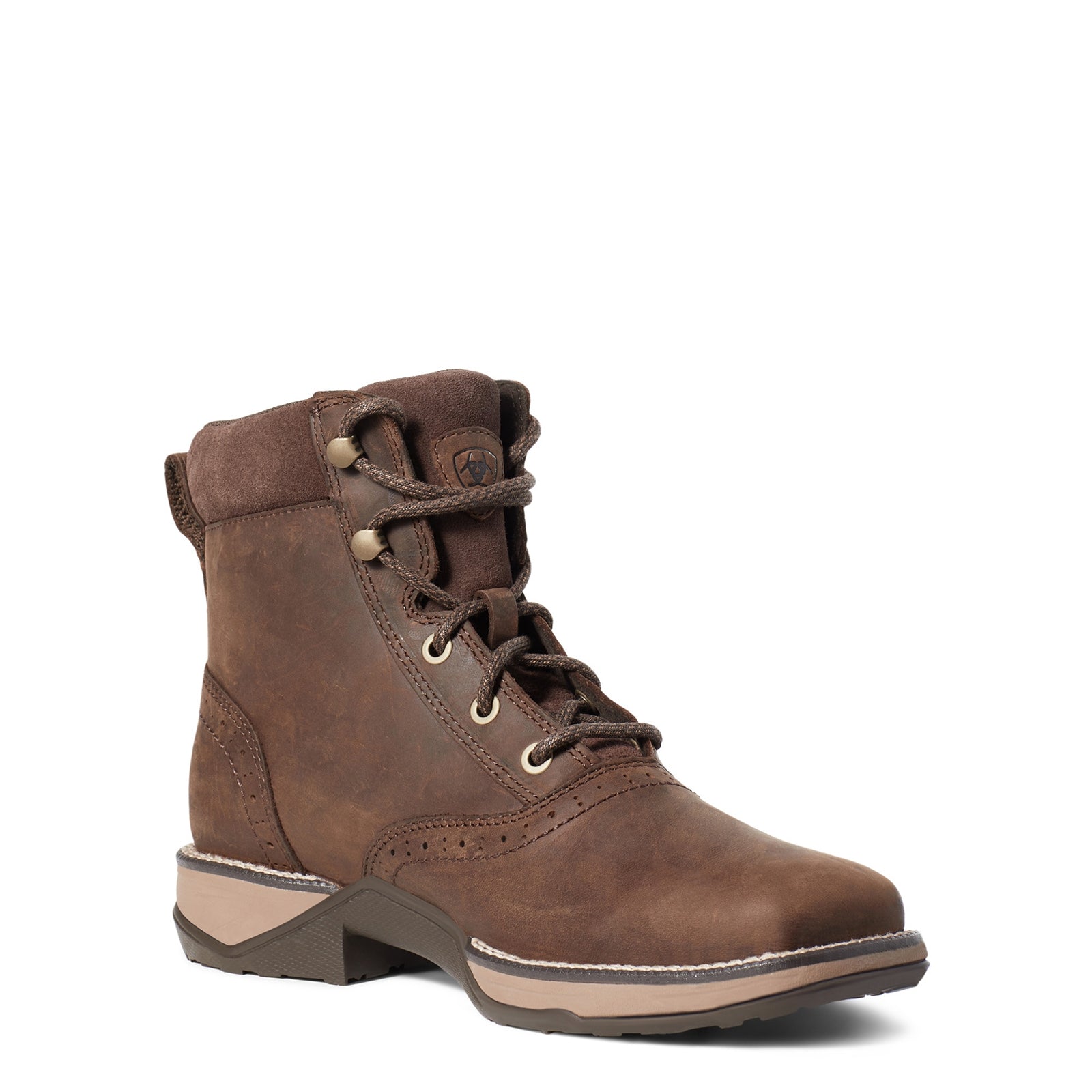 Ariat Anthem Lacer Women's Half Boots Riding Boots & Riding Shoes