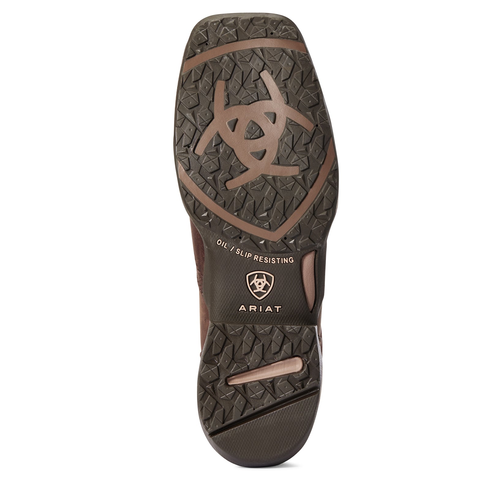 Ariat Anthem Lacer Women's Half Boots Riding Boots & Riding Shoes