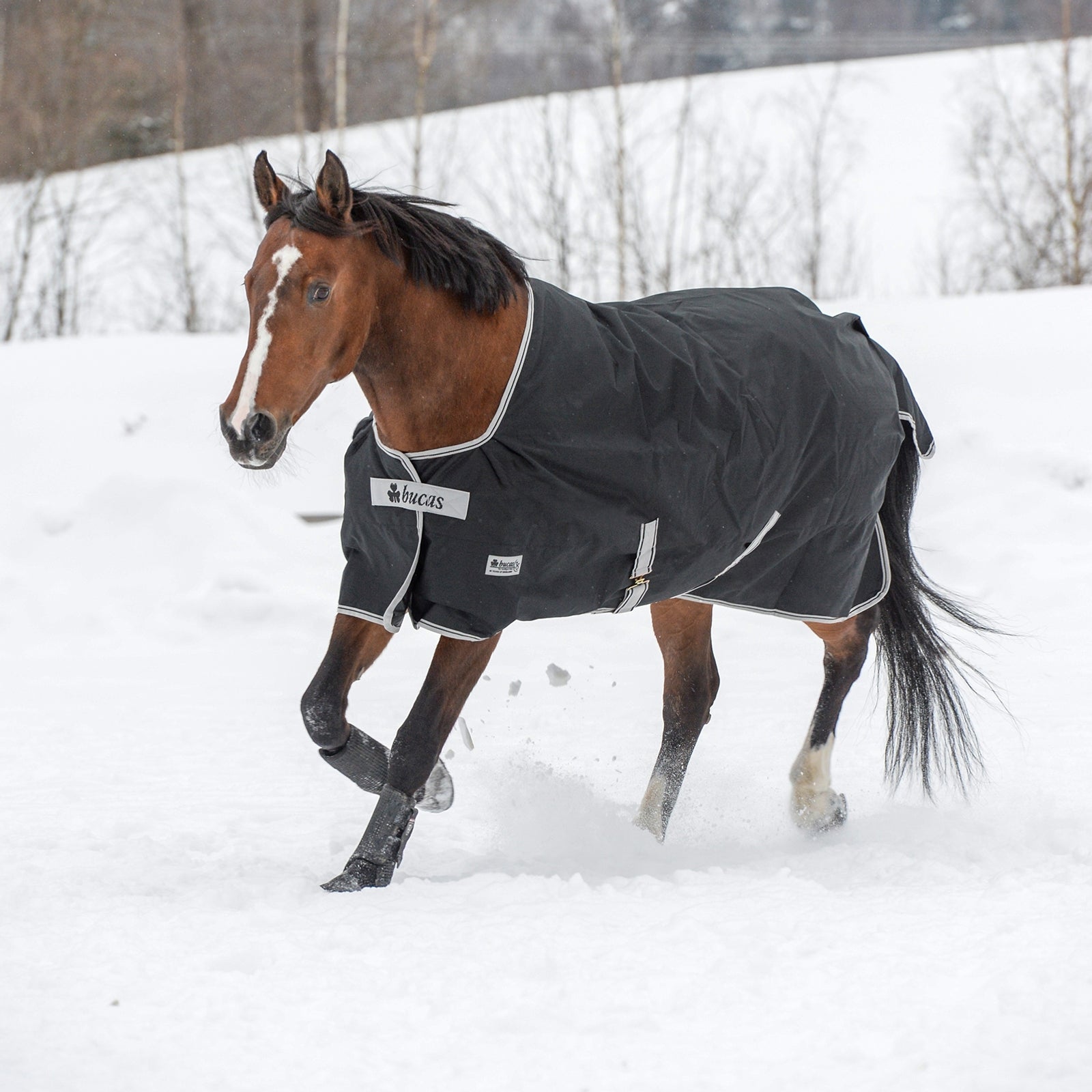 Bucas Anniversary Light SD overgangsdækken, 150 gr Hestedækken