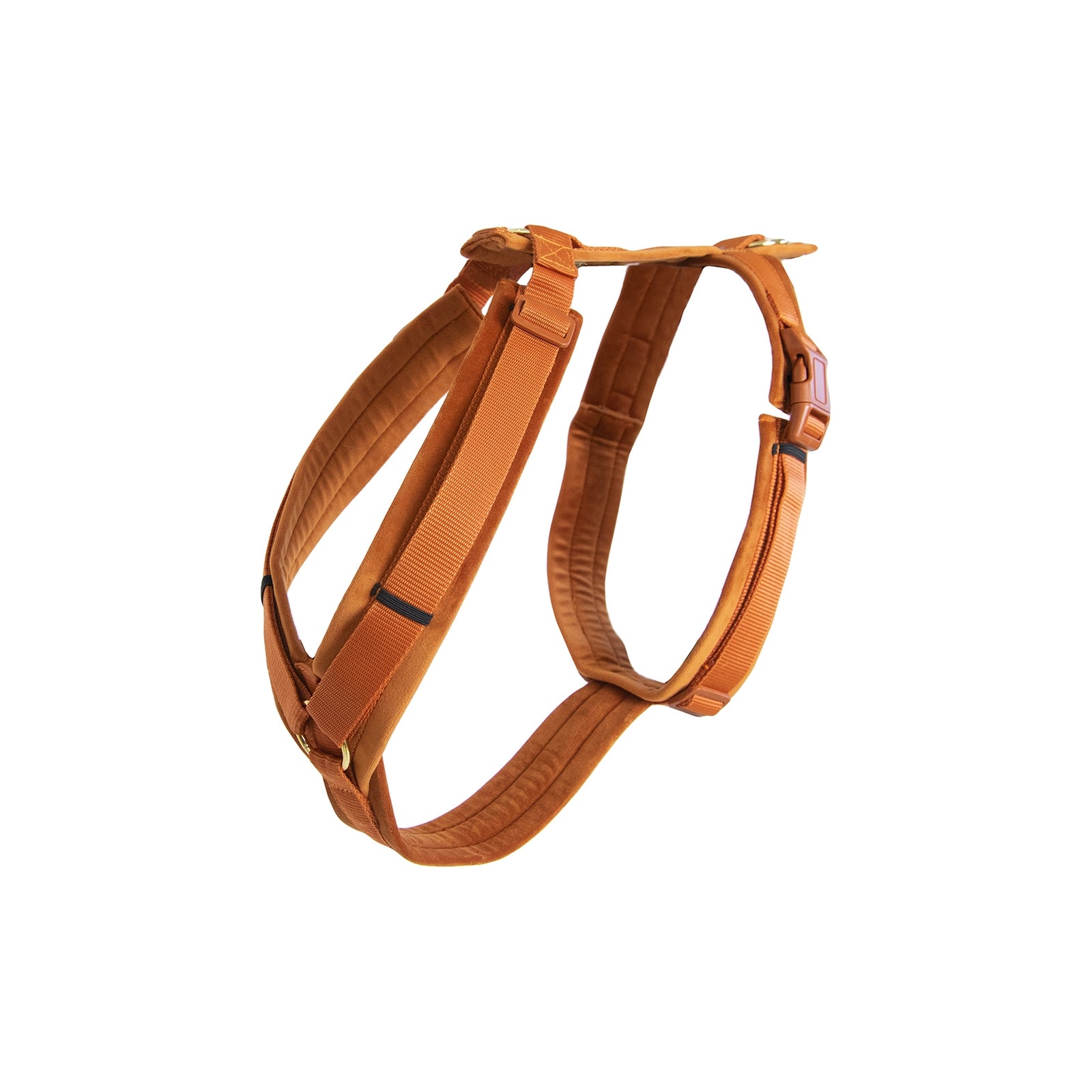 Kentucky Dogwear Active Velvet Sele Hund