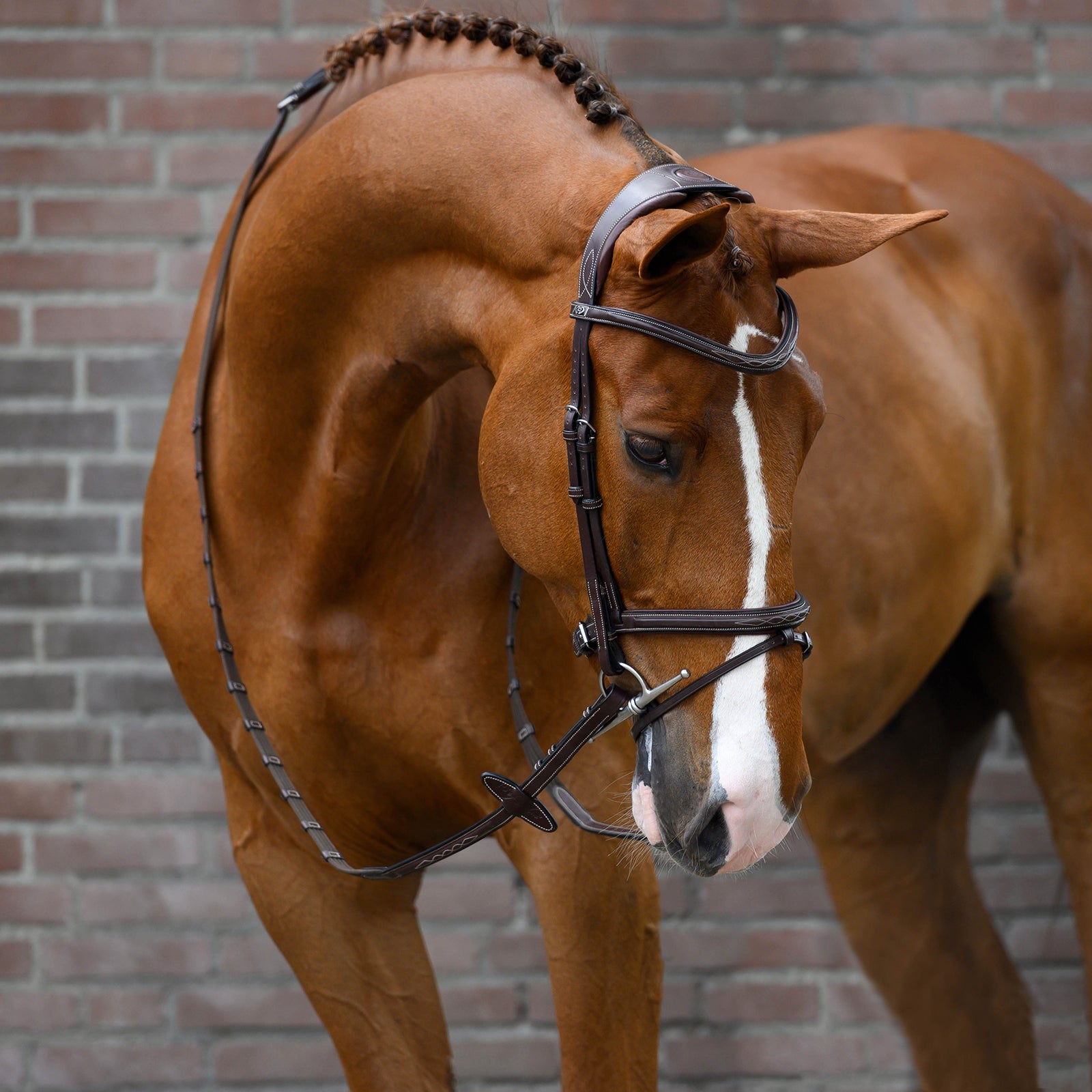 PS of Sweden Stockholm trense Trenser & tøjler