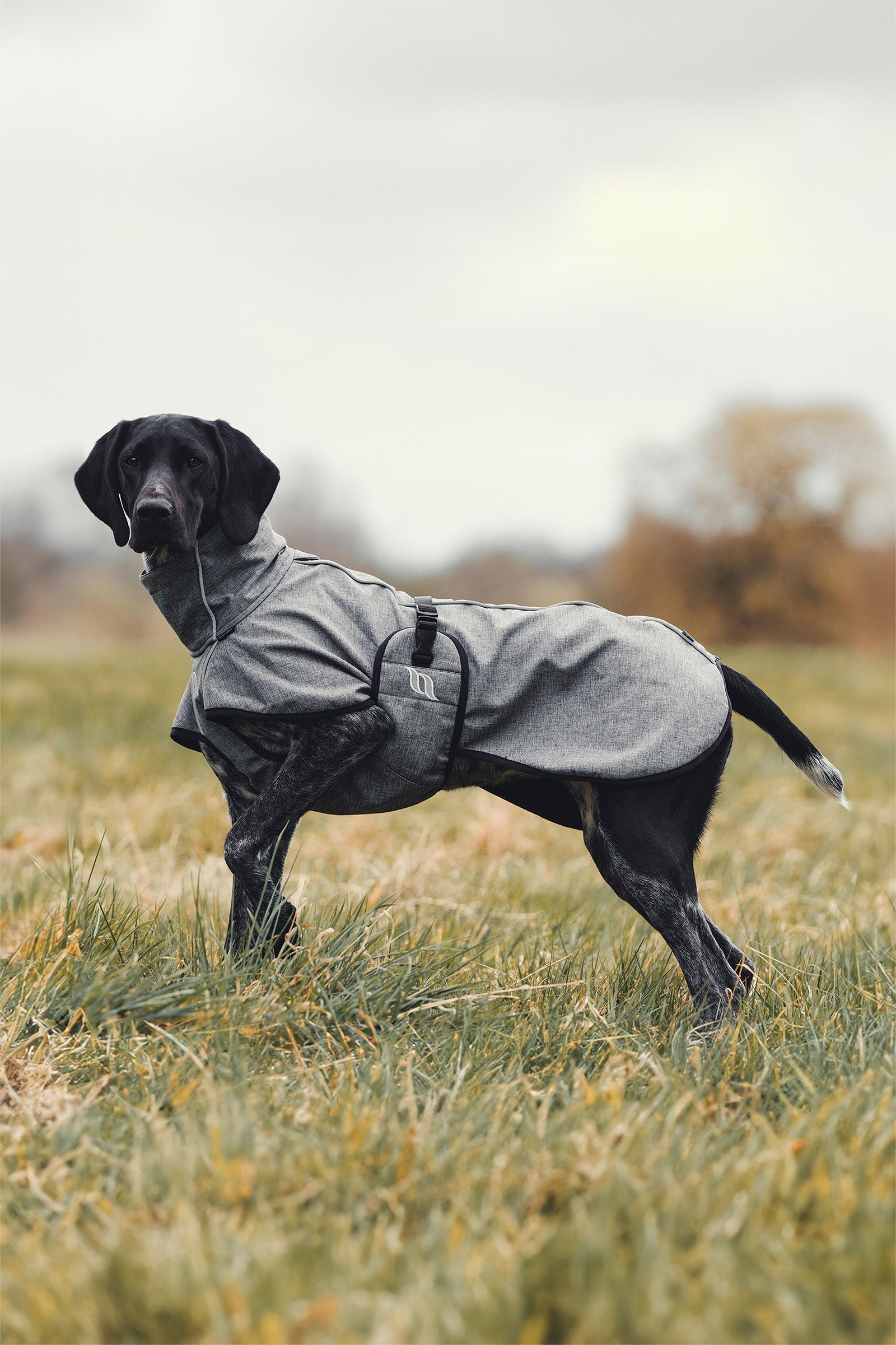 undefined Back on Track Bark All-Round Dog Coat, 40-50cm Dog Accesories